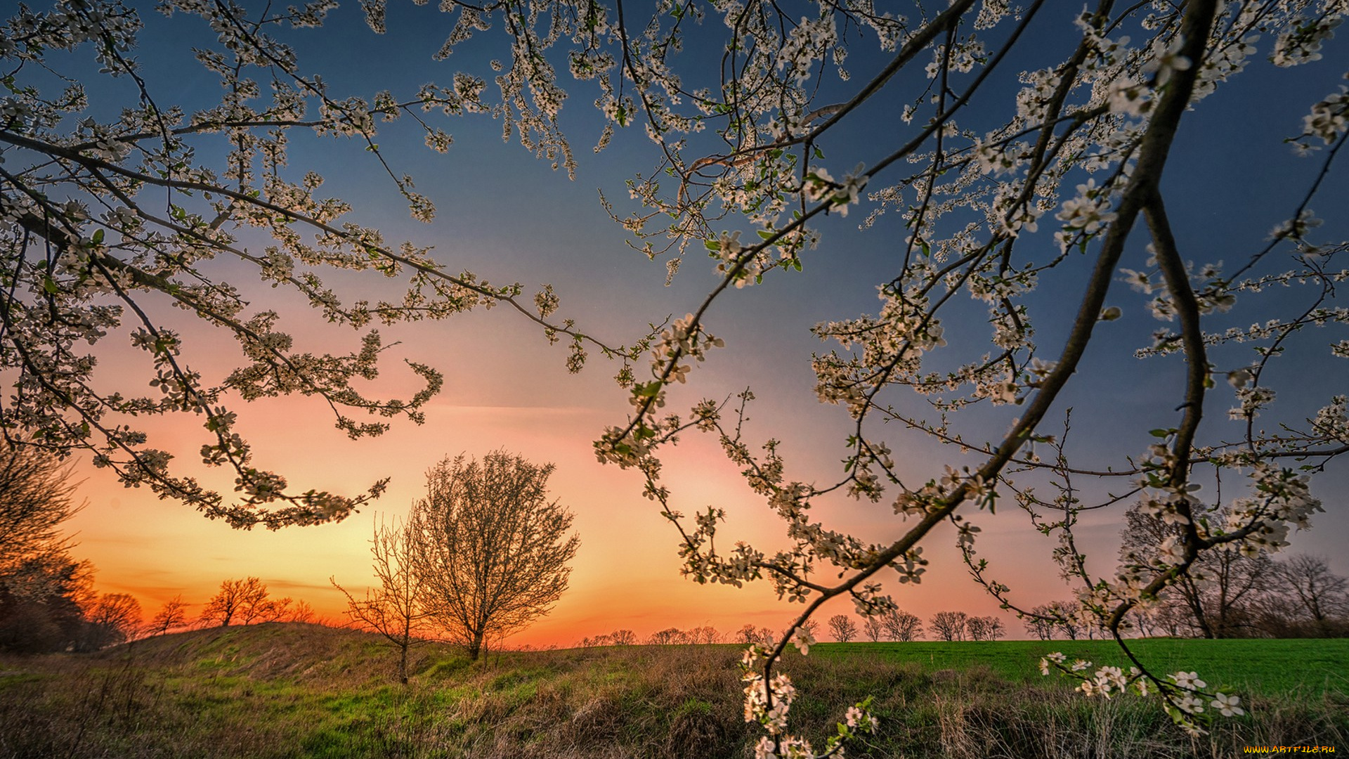 природа, восходы, закаты, простор