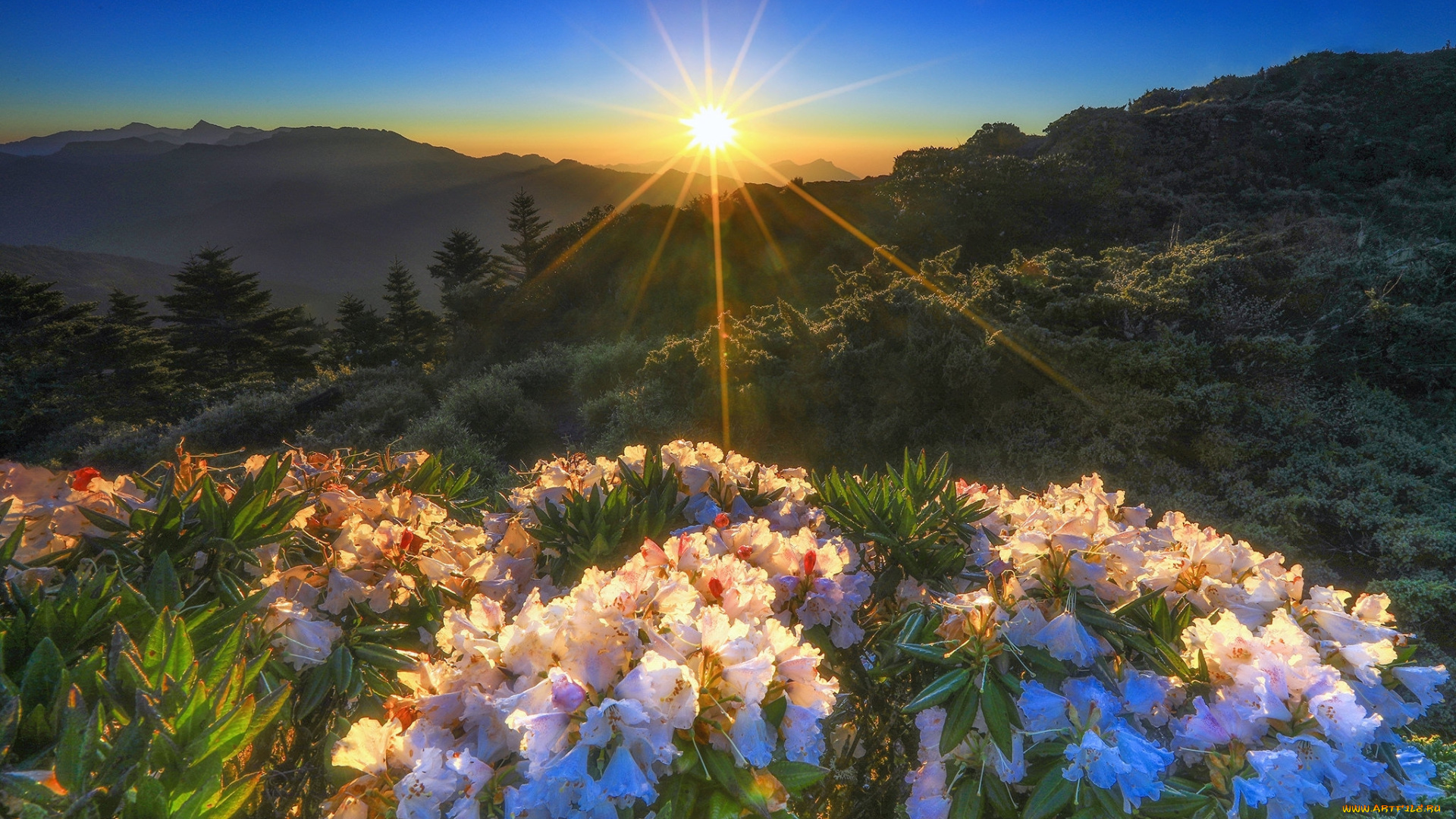 природа, восходы, закаты, простор