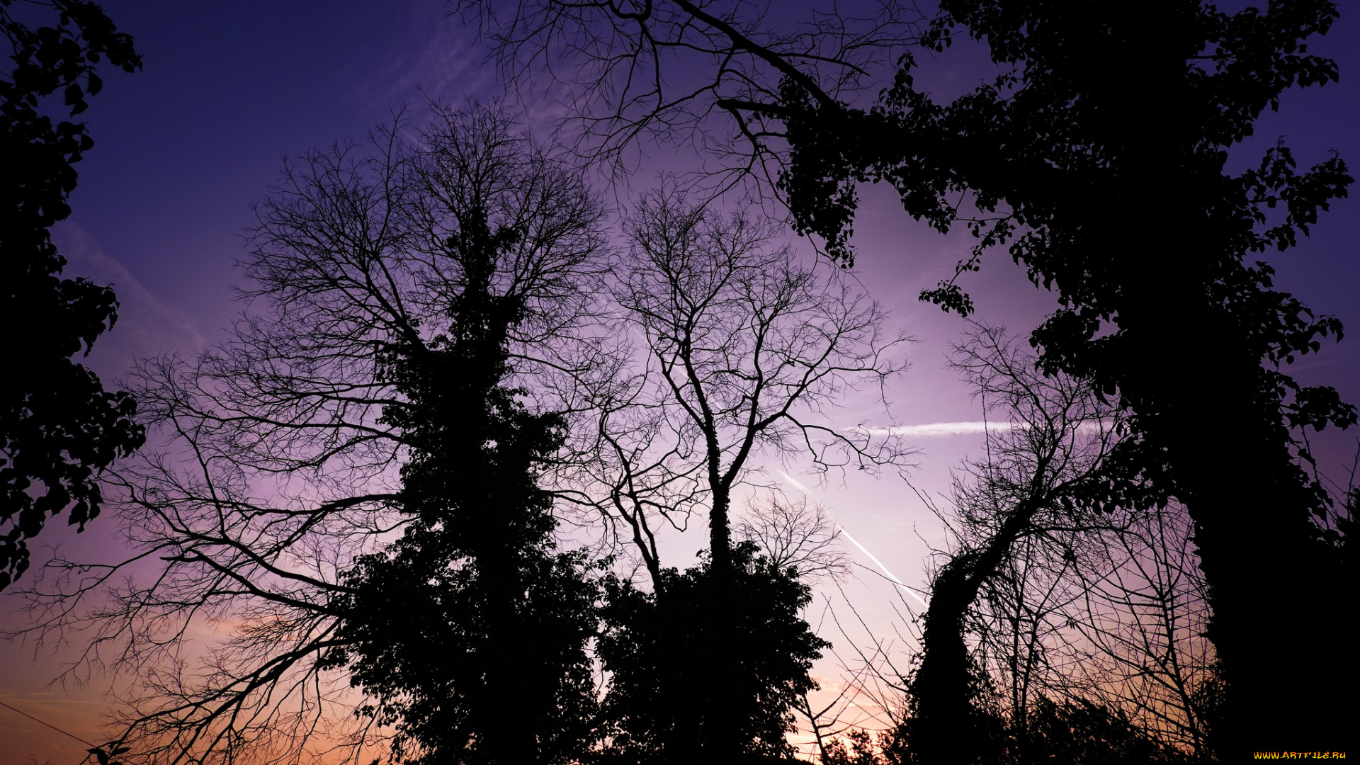 природа, восходы, закаты, простор