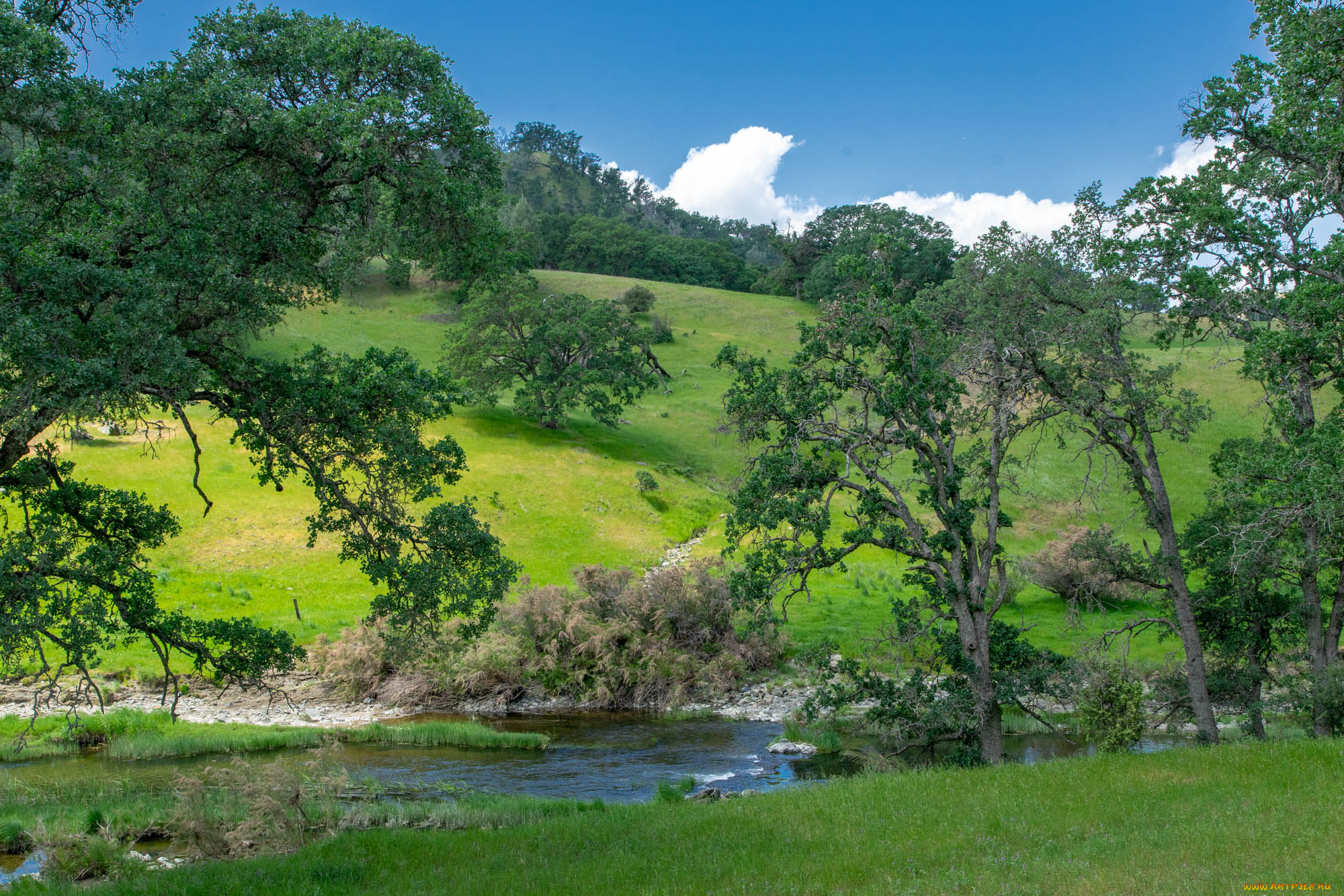 природа, пейзажи, простор