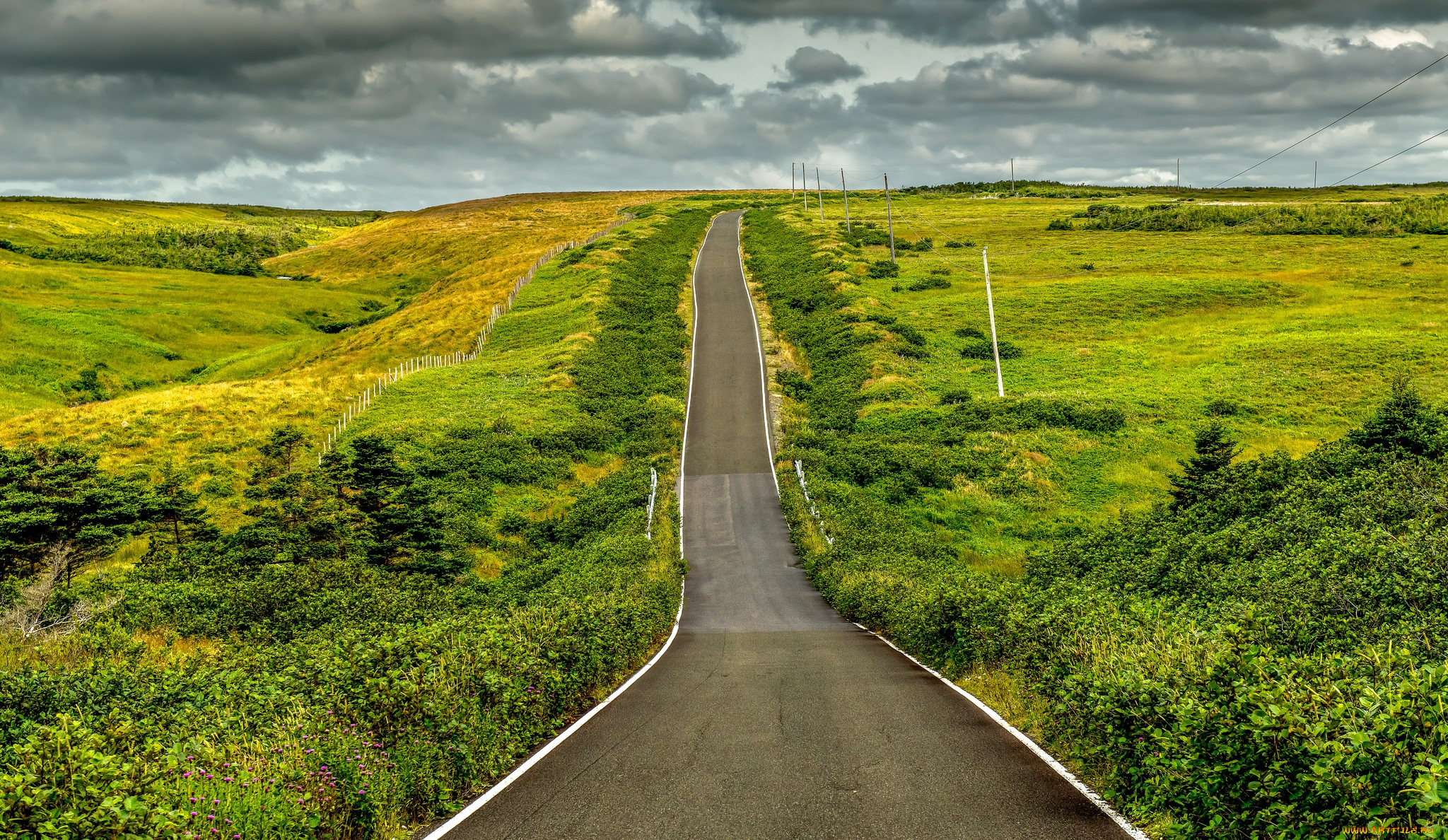 природа, дороги, простор