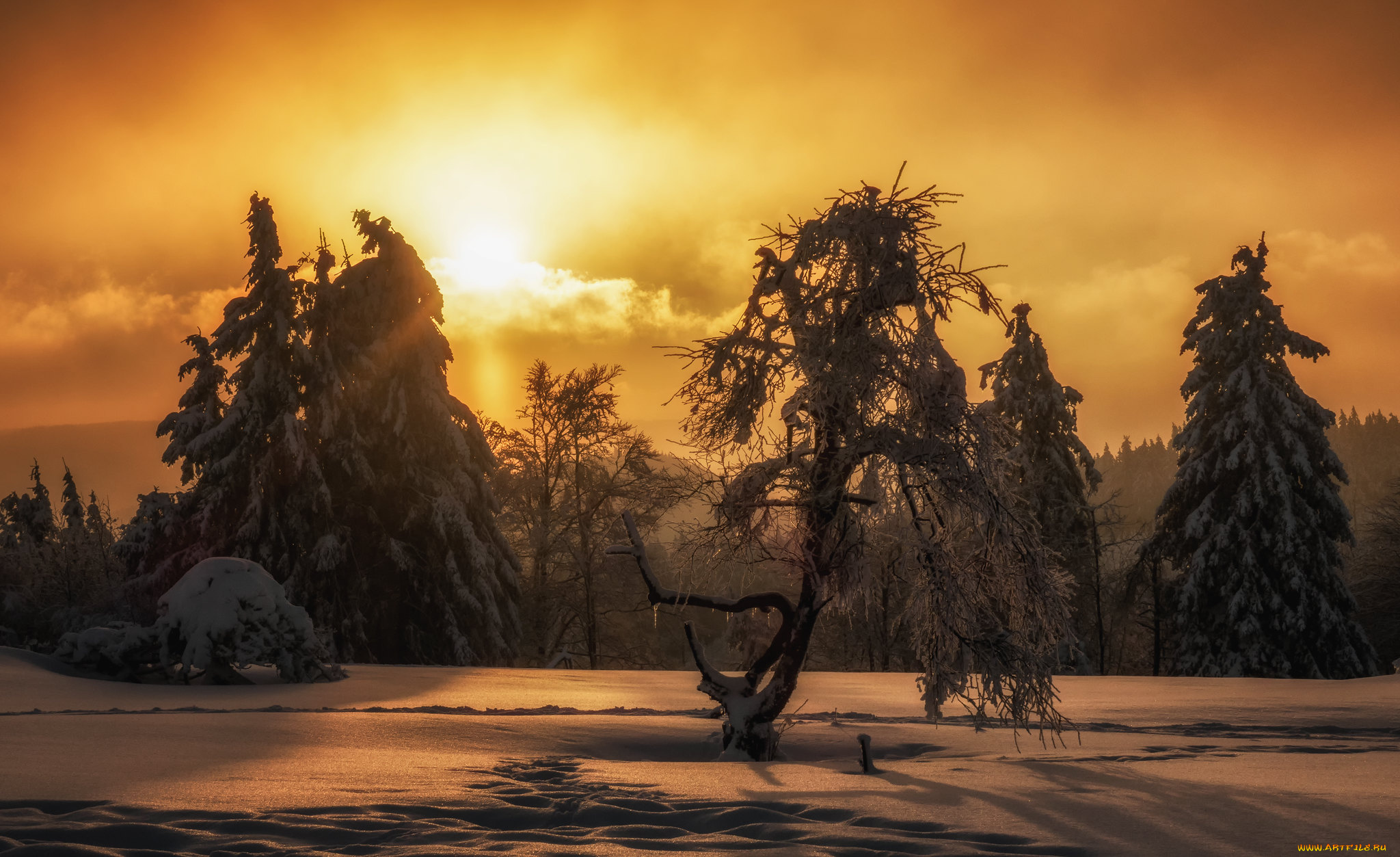 природа, восходы, закаты, простор