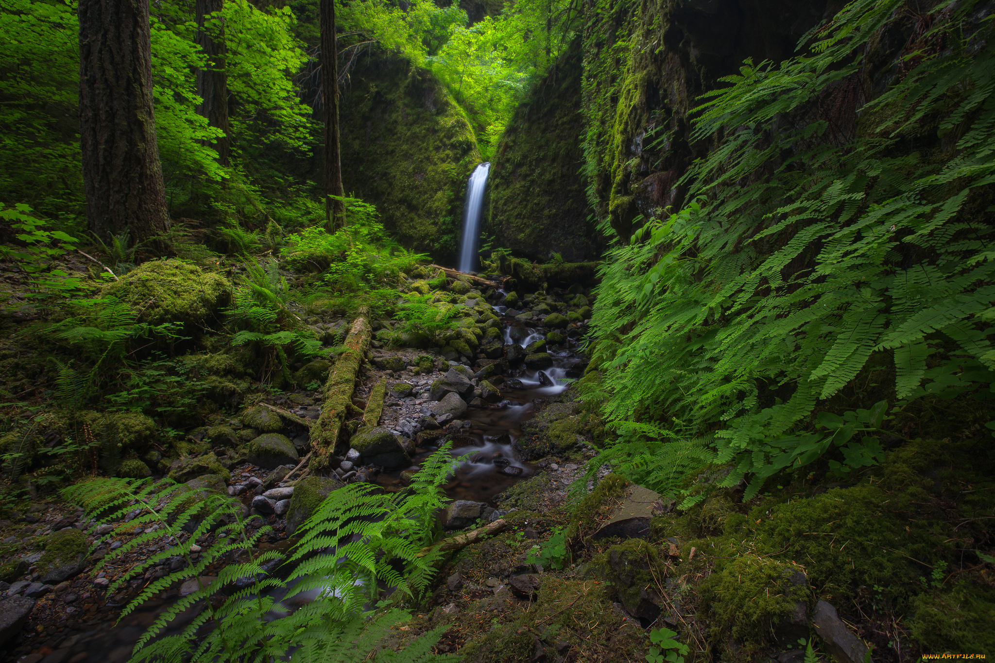 природа, водопады, река, лес
