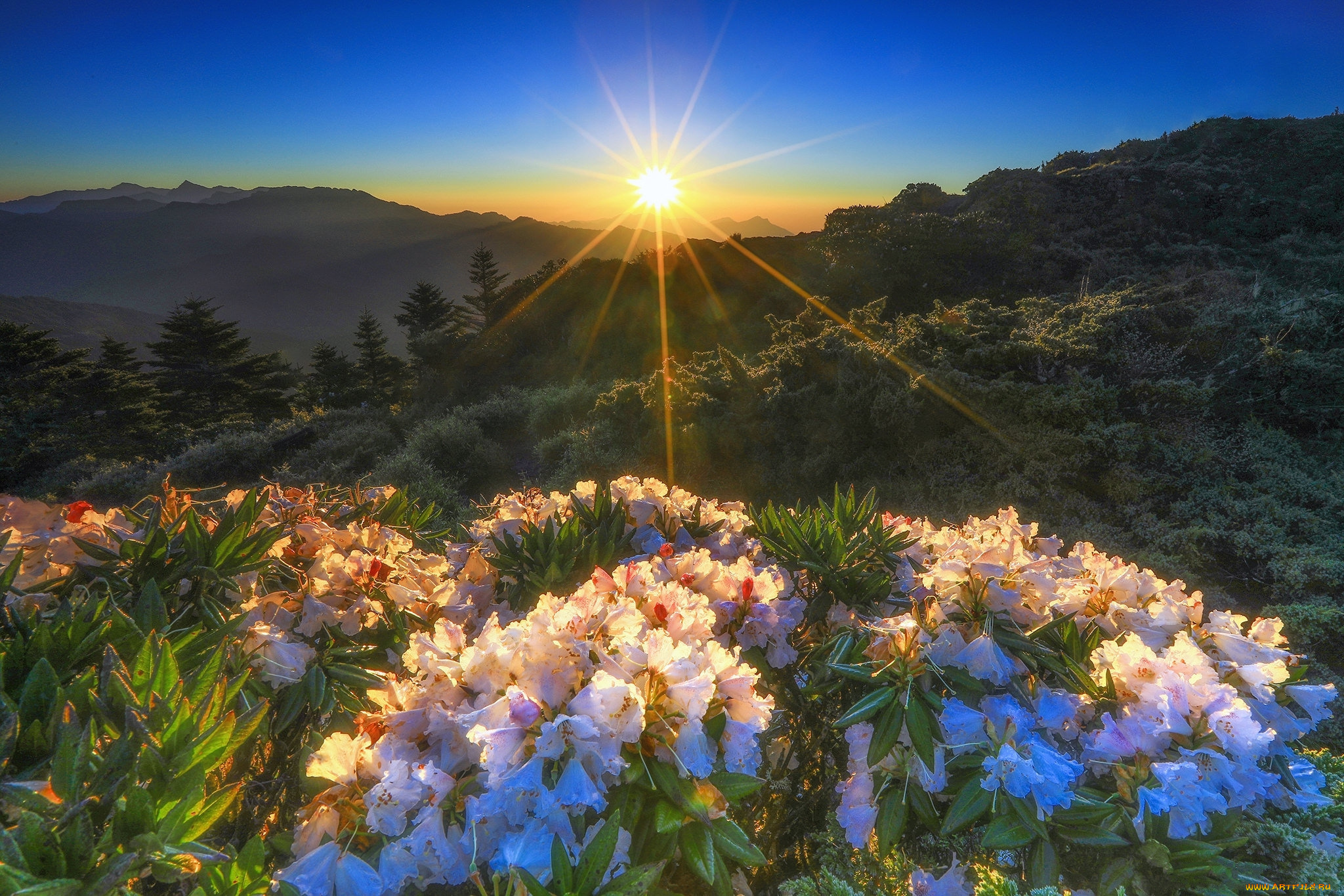 природа, восходы, закаты, простор