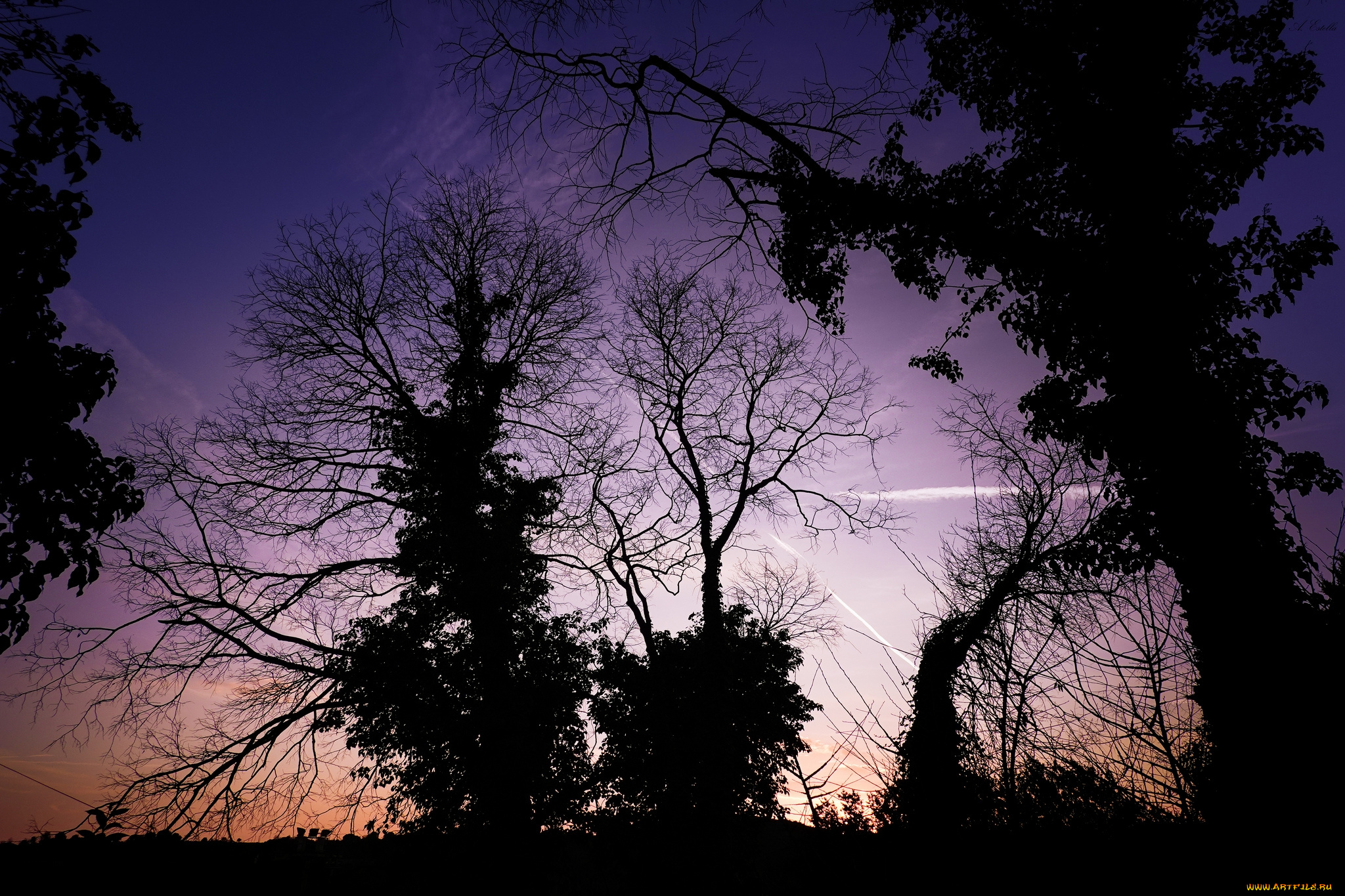 природа, восходы, закаты, простор