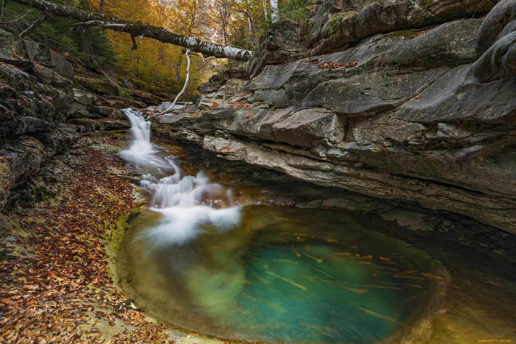 природа, реки, озера, простор