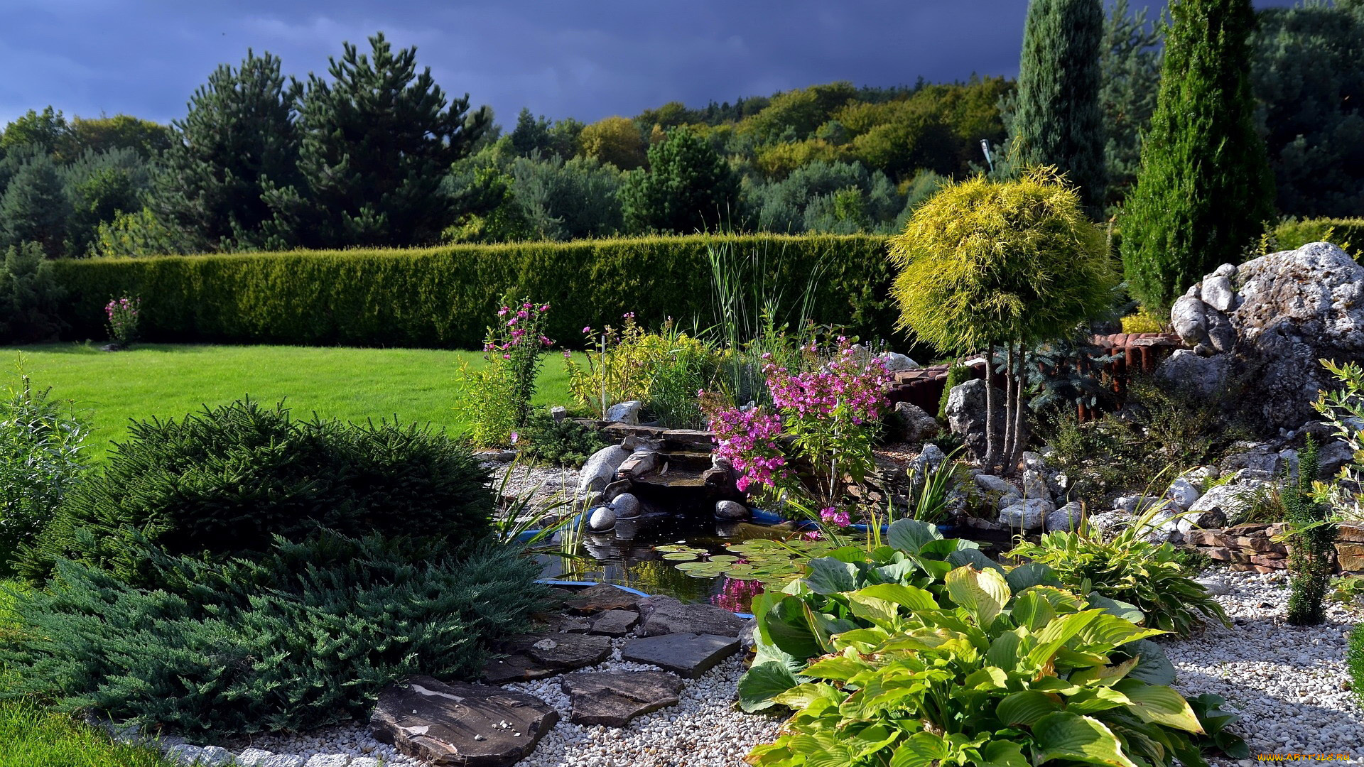 природа, парк, водоем, цветы