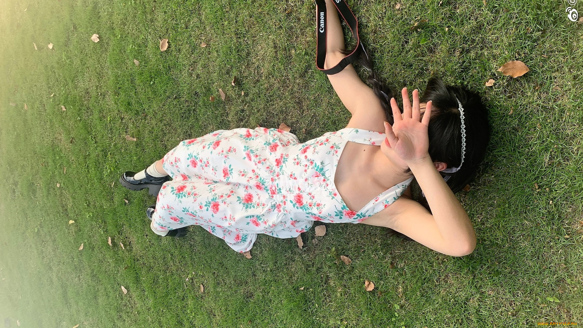 девушки, -, азиатки, брюнетка, сарафан, лужайка