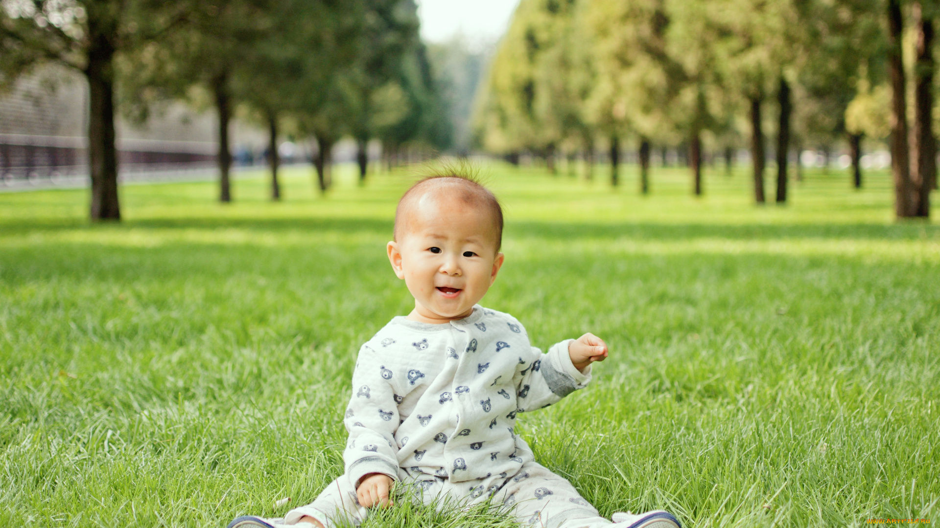 разное, люди, ребенок, лужайка, деревья