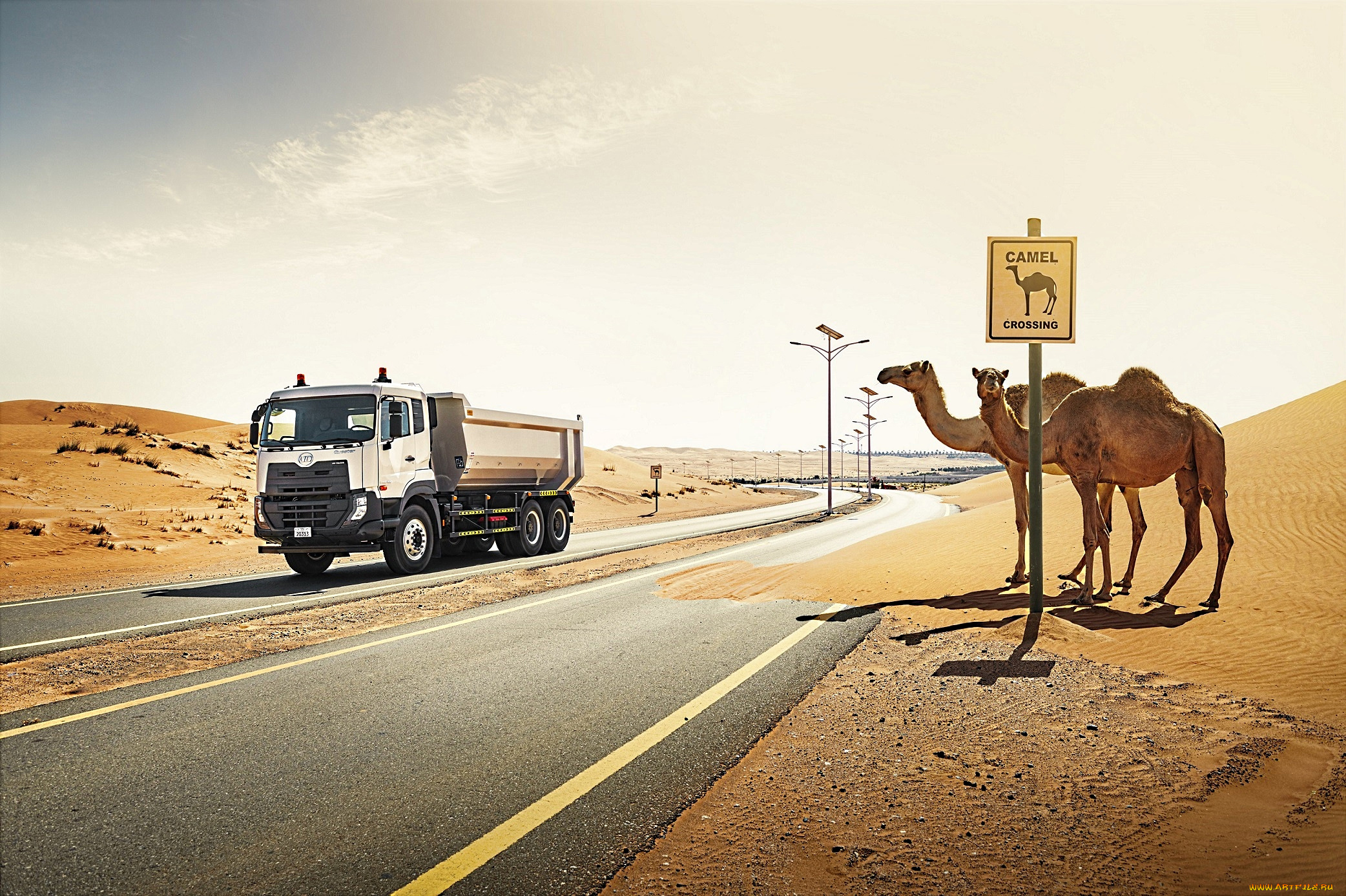 автомобили, ud, trucks, ud