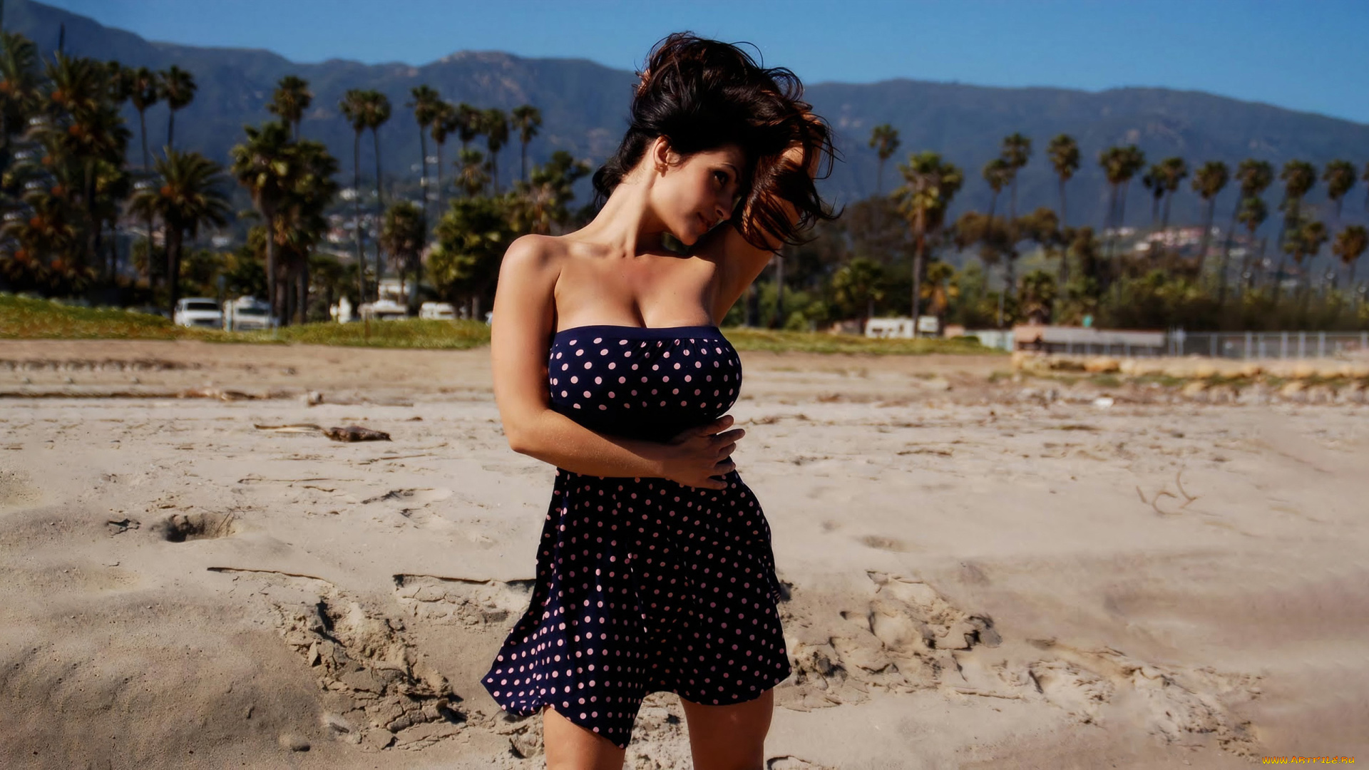 девушки, denise, milani, denise, milani