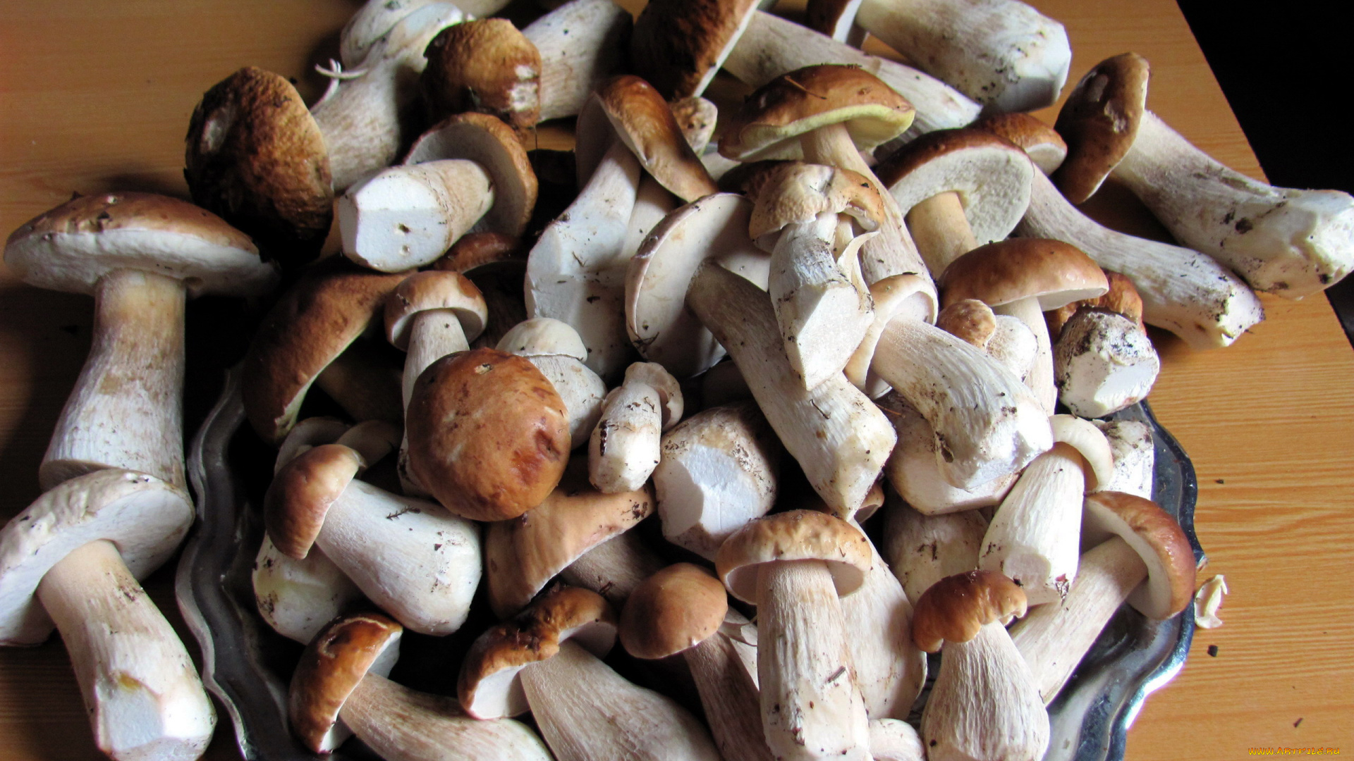 еда, грибы, , грибные, блюда, боровики