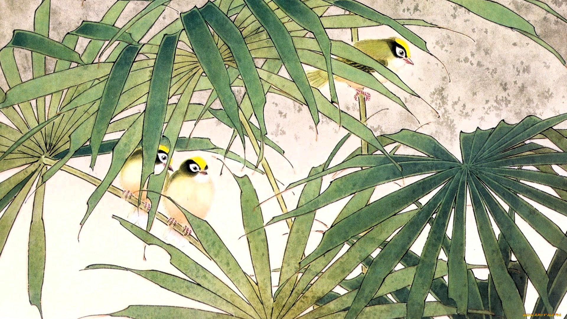 рисованное, животные, , птицы, птицы, листья
