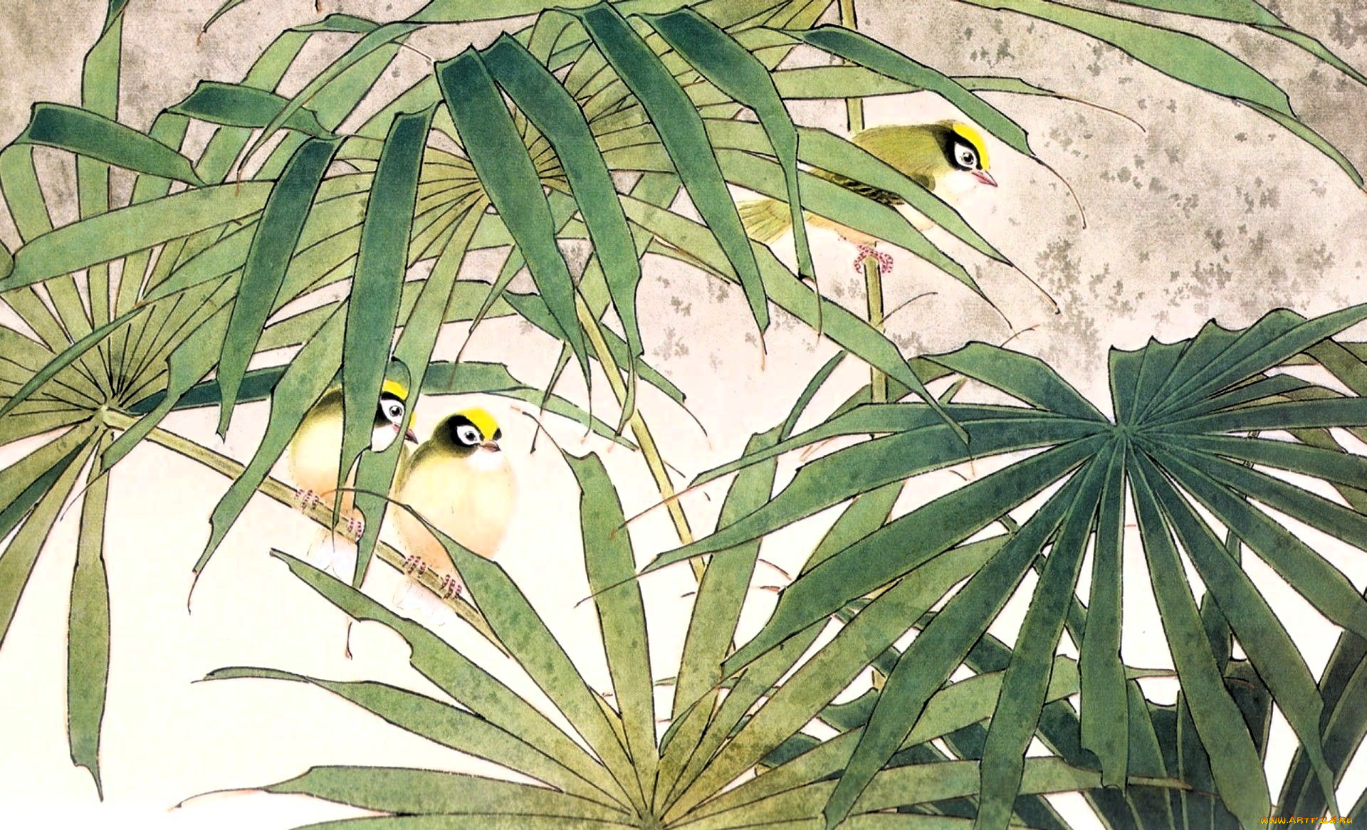 рисованное, животные, , птицы, птицы, листья