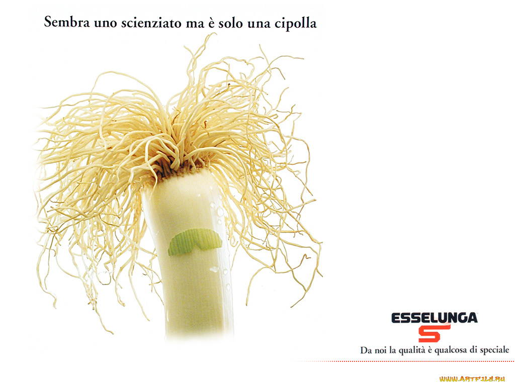 юмор, приколы