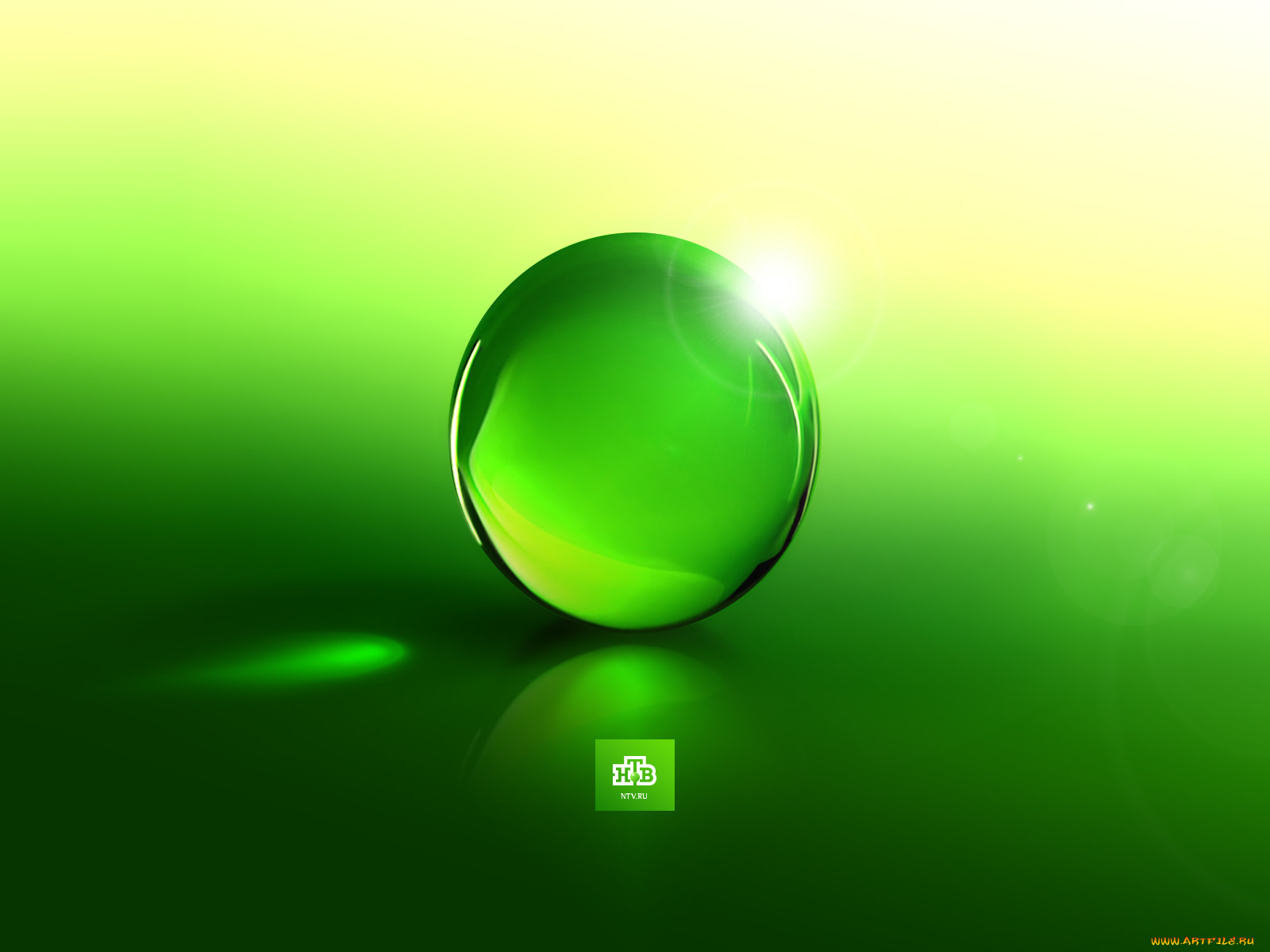 нтв, бренды