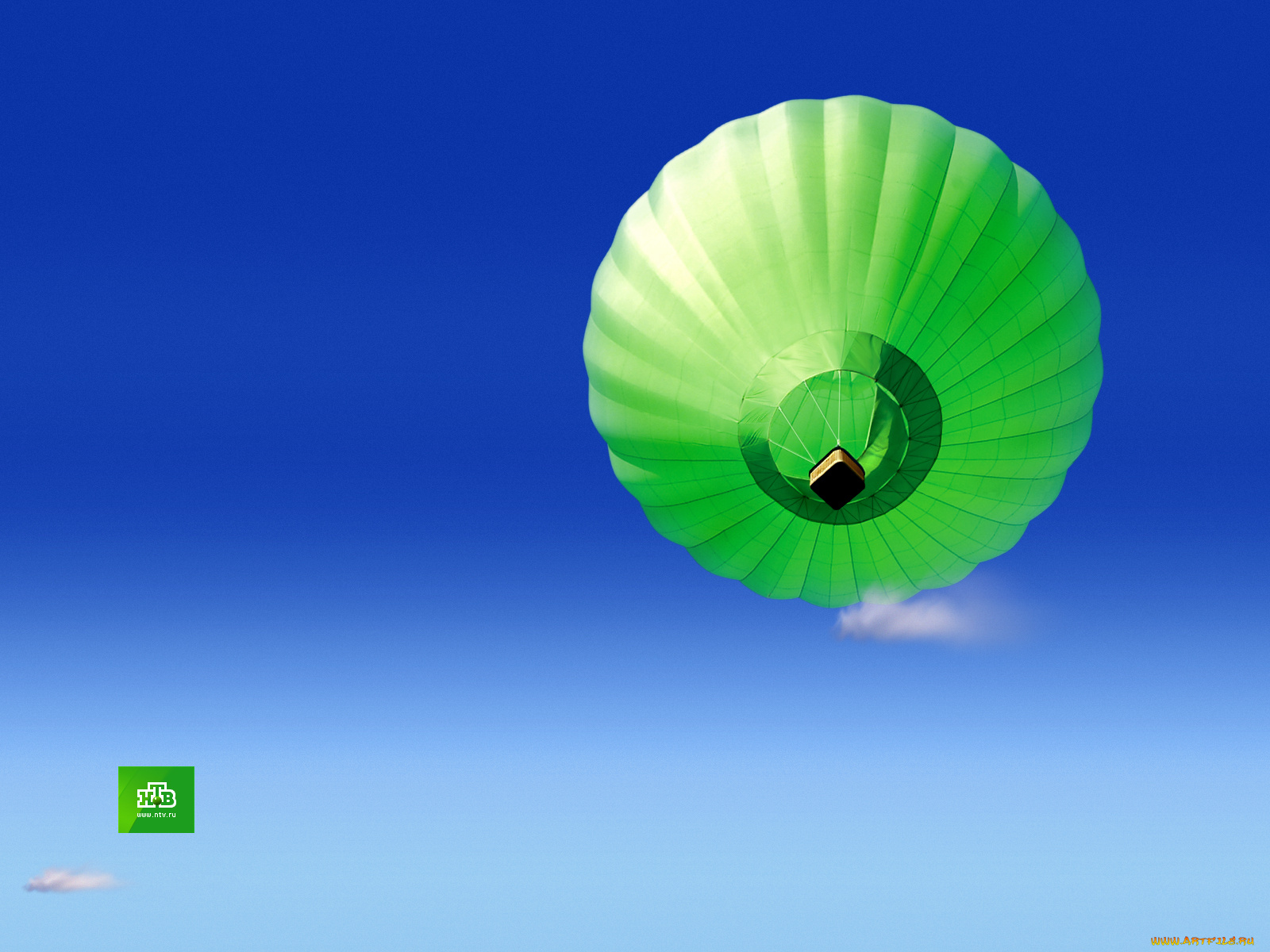 нтв, бренды