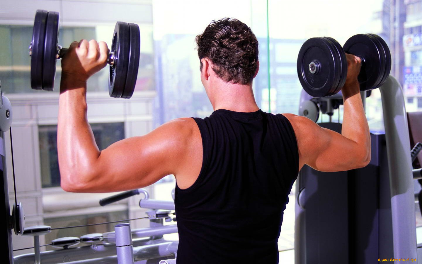 спорт, другое