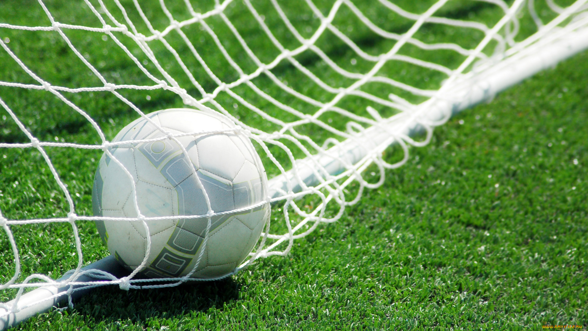 спорт, футбол
