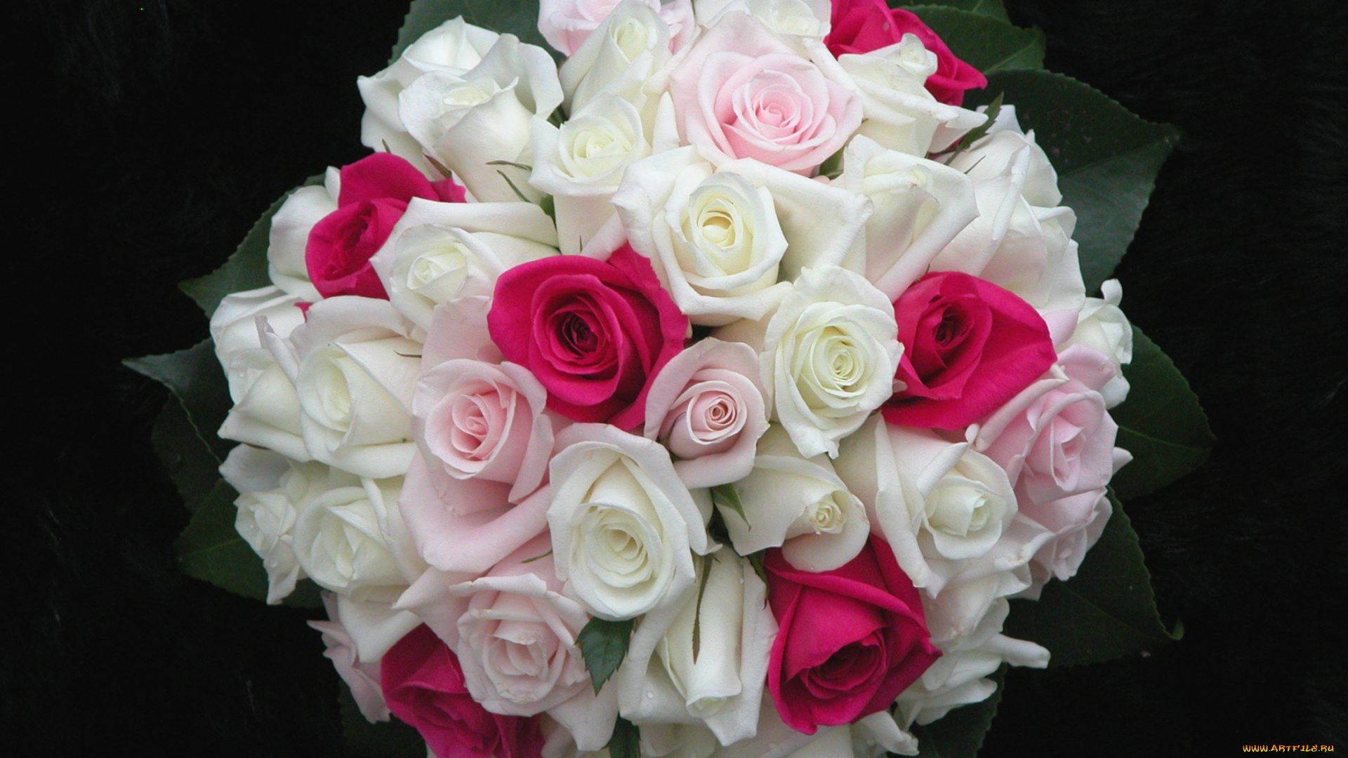 цветы, розы, букет, круглый