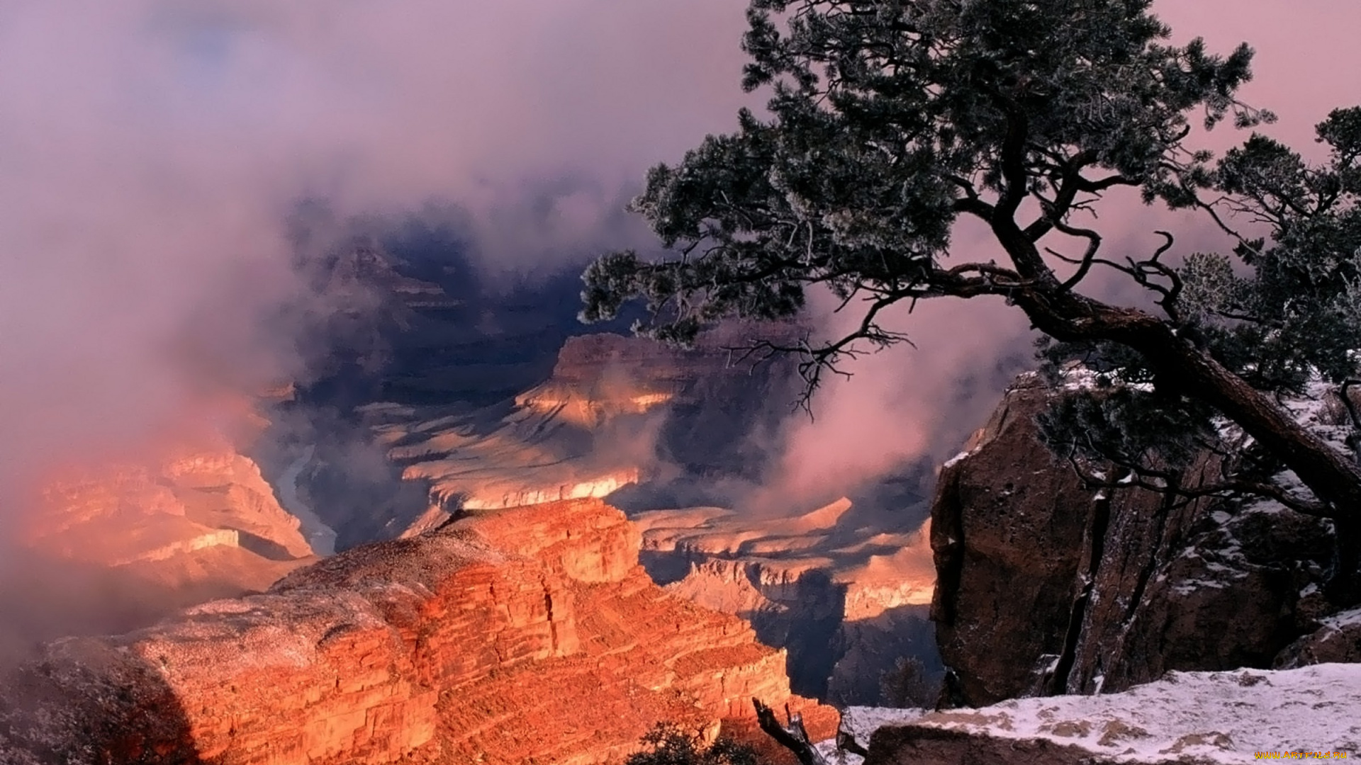 природа, горы, скалы, ущелье, дерево