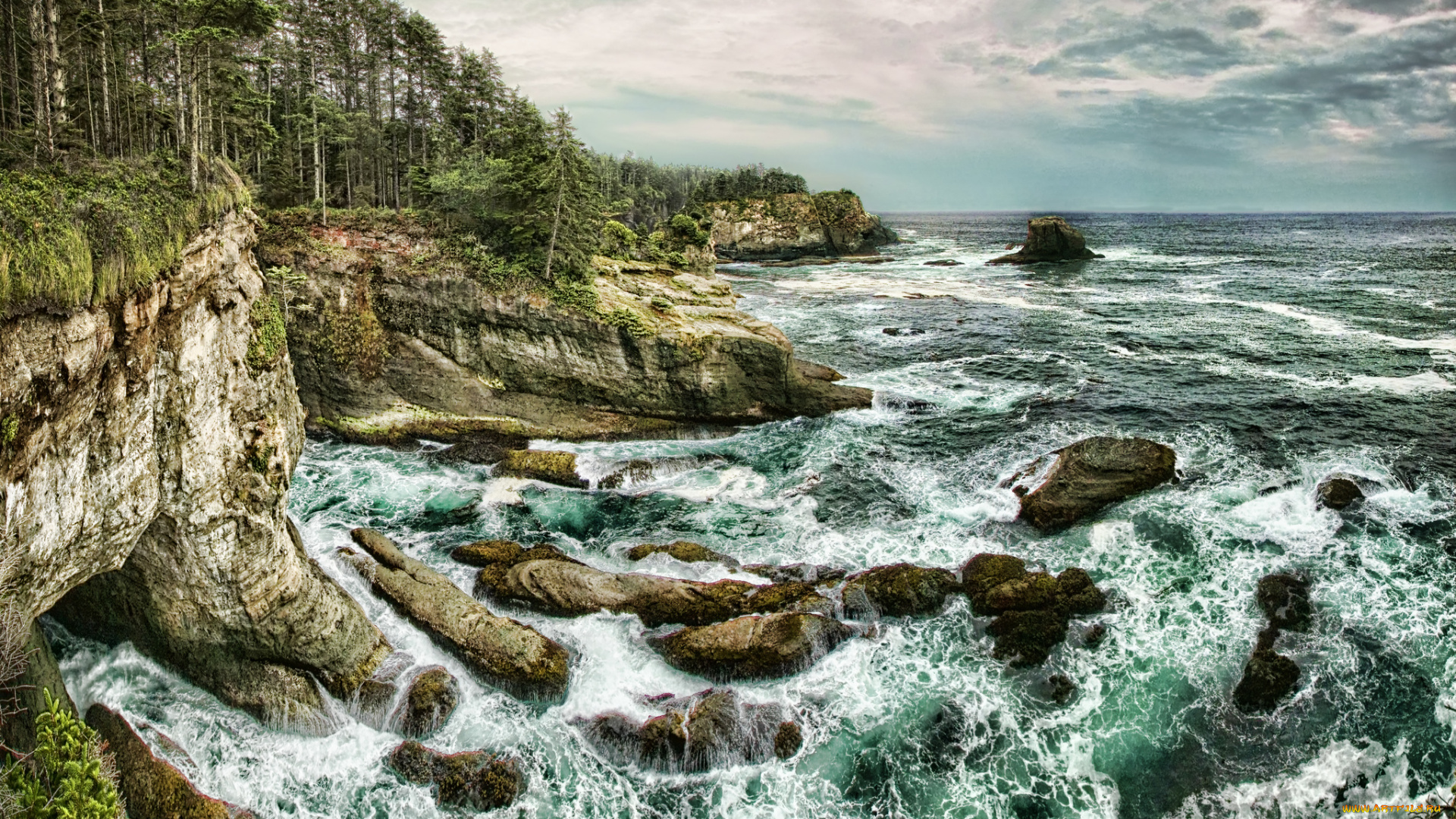 природа, побережье, скалы, деревья, море