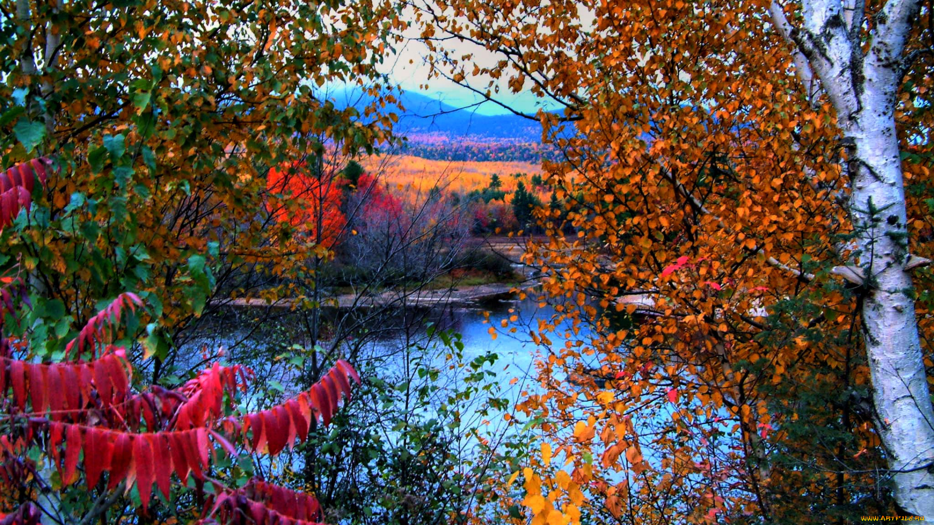 природа, реки, озера, деревья, осень, река