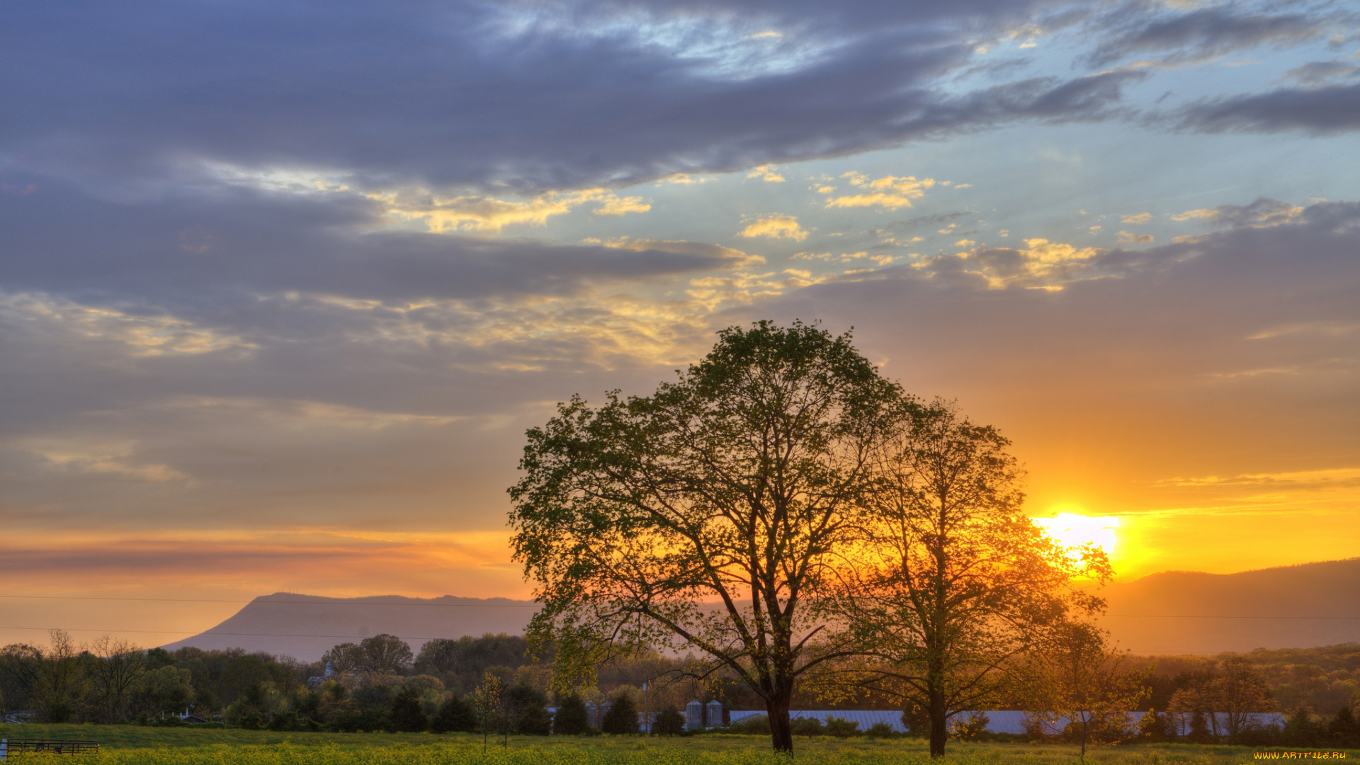 природа, восходы, закаты, деревья, пейзаж, поле, закат