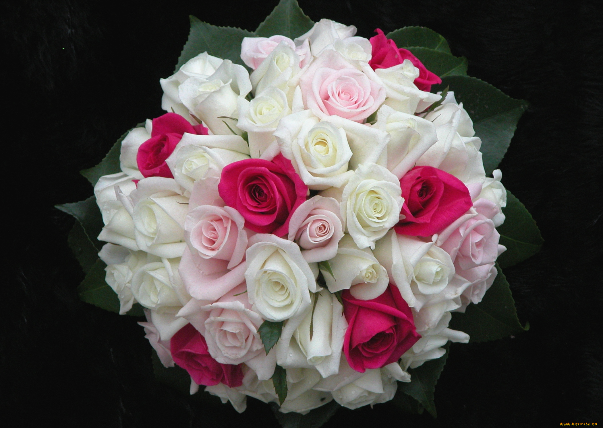 цветы, розы, букет, круглый