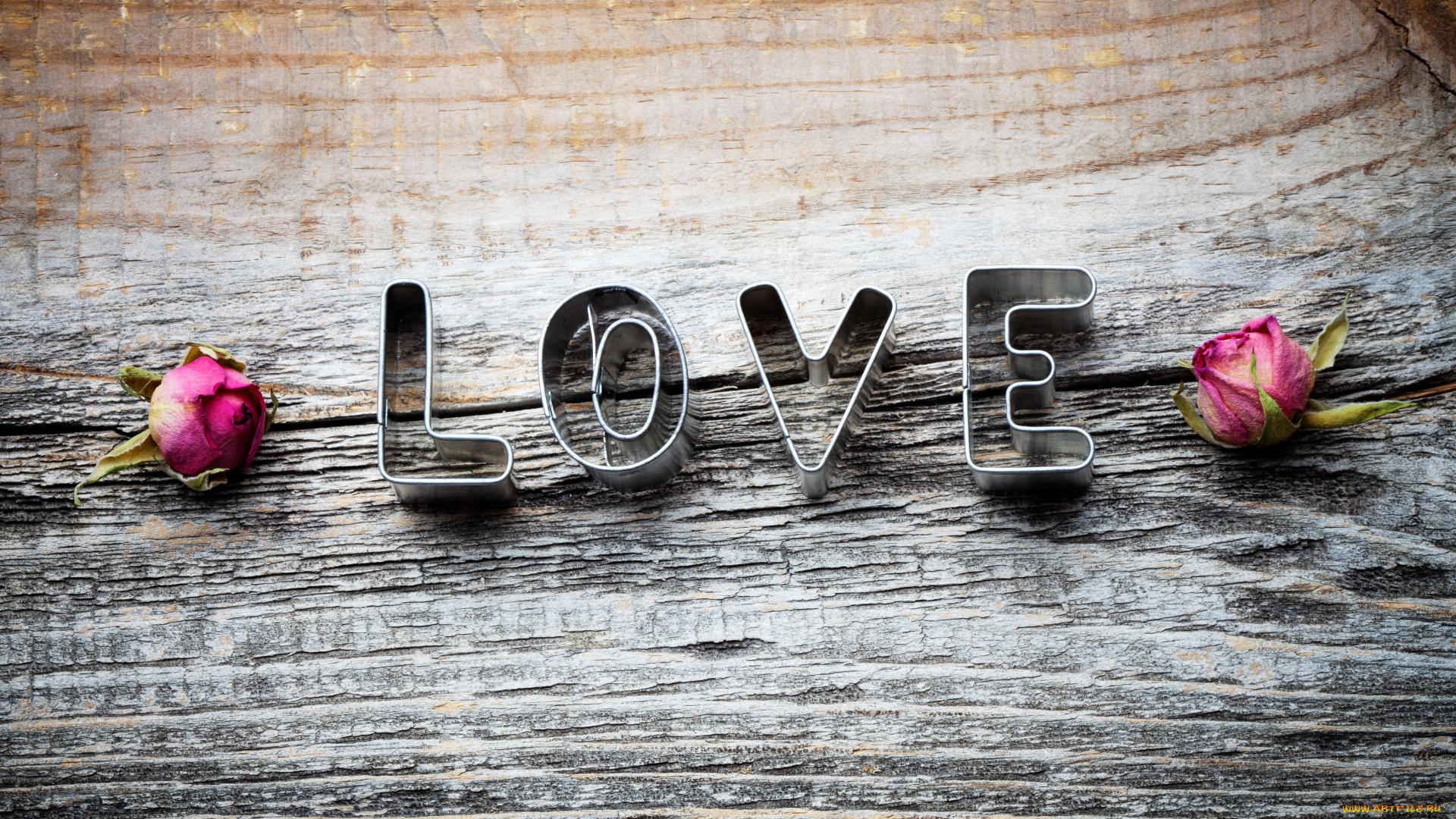 праздничные, день, св, валентина, сердечки, любовь, love, надпись, буквы, розы, сухие, дерево