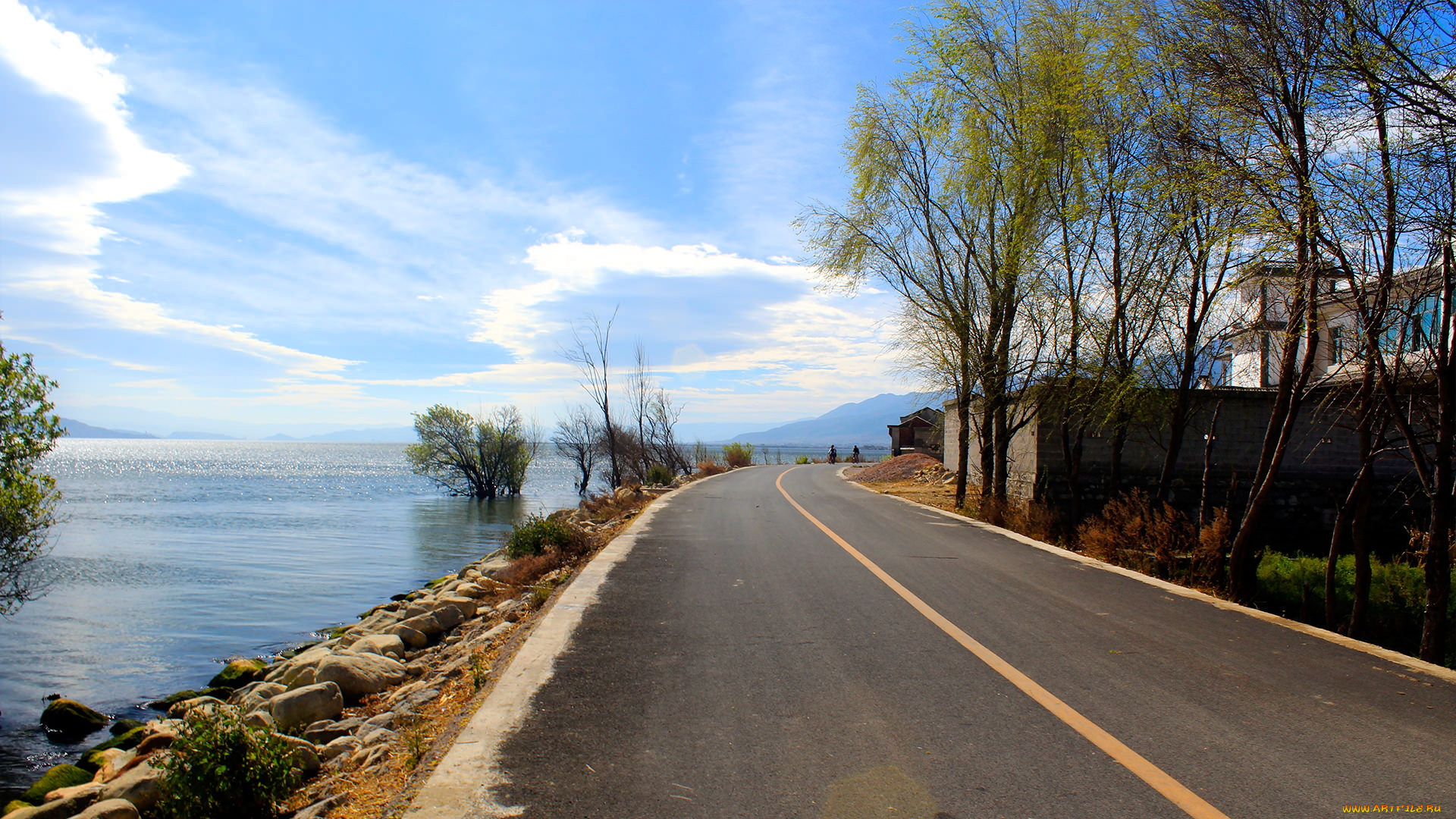 природа, дороги, дорога, деревья