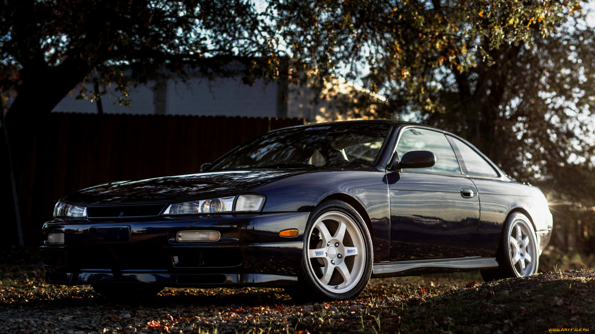 автомобили, nissan, datsun