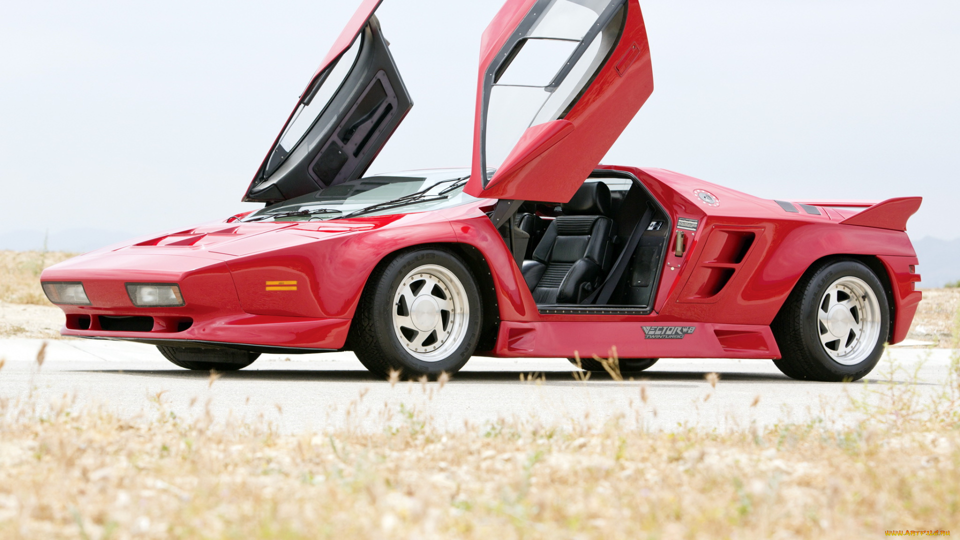 автомобили, vector