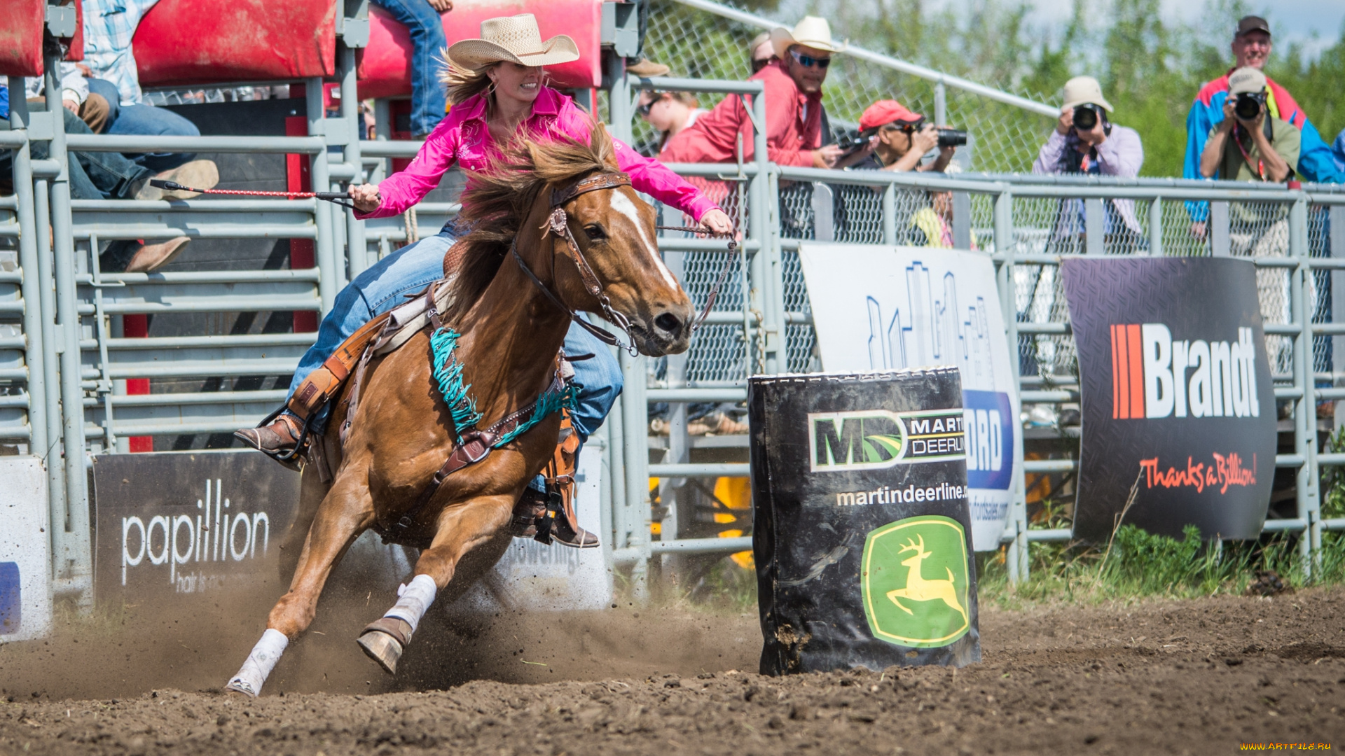 спорт, -, другое, родео, всадница, конь