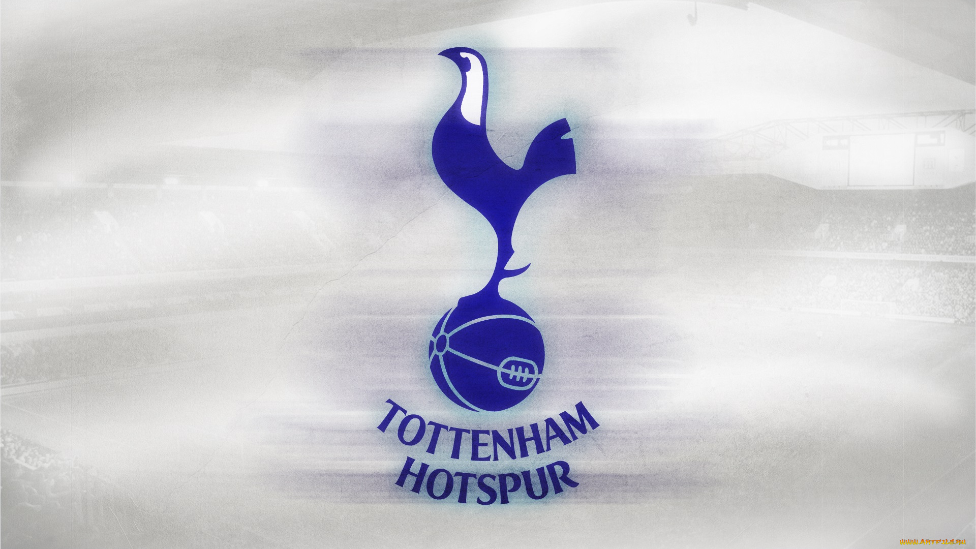 спорт, эмблемы, клубов, птица