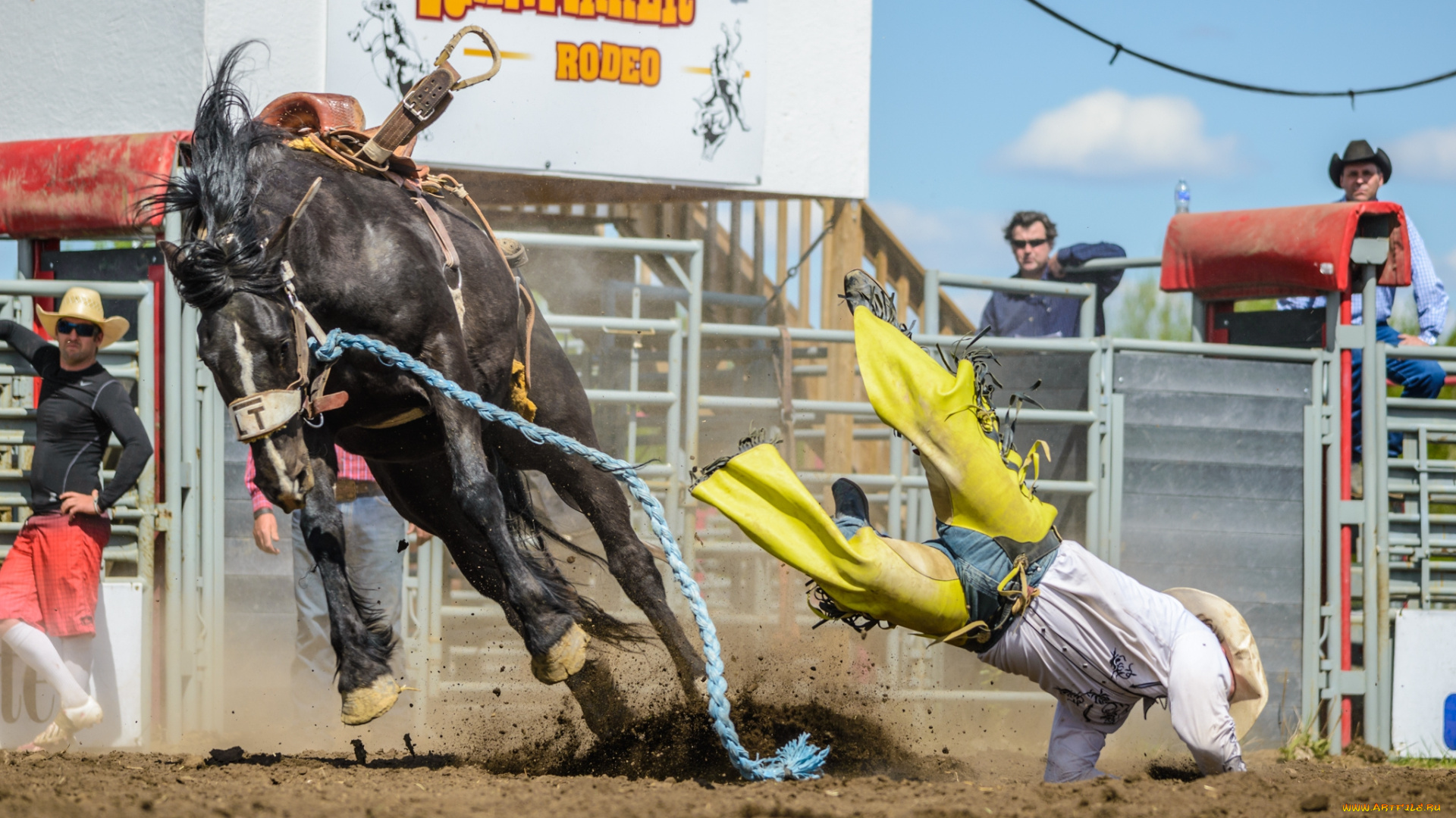 спорт, конный, спорт, конь, падение, родео, всадник