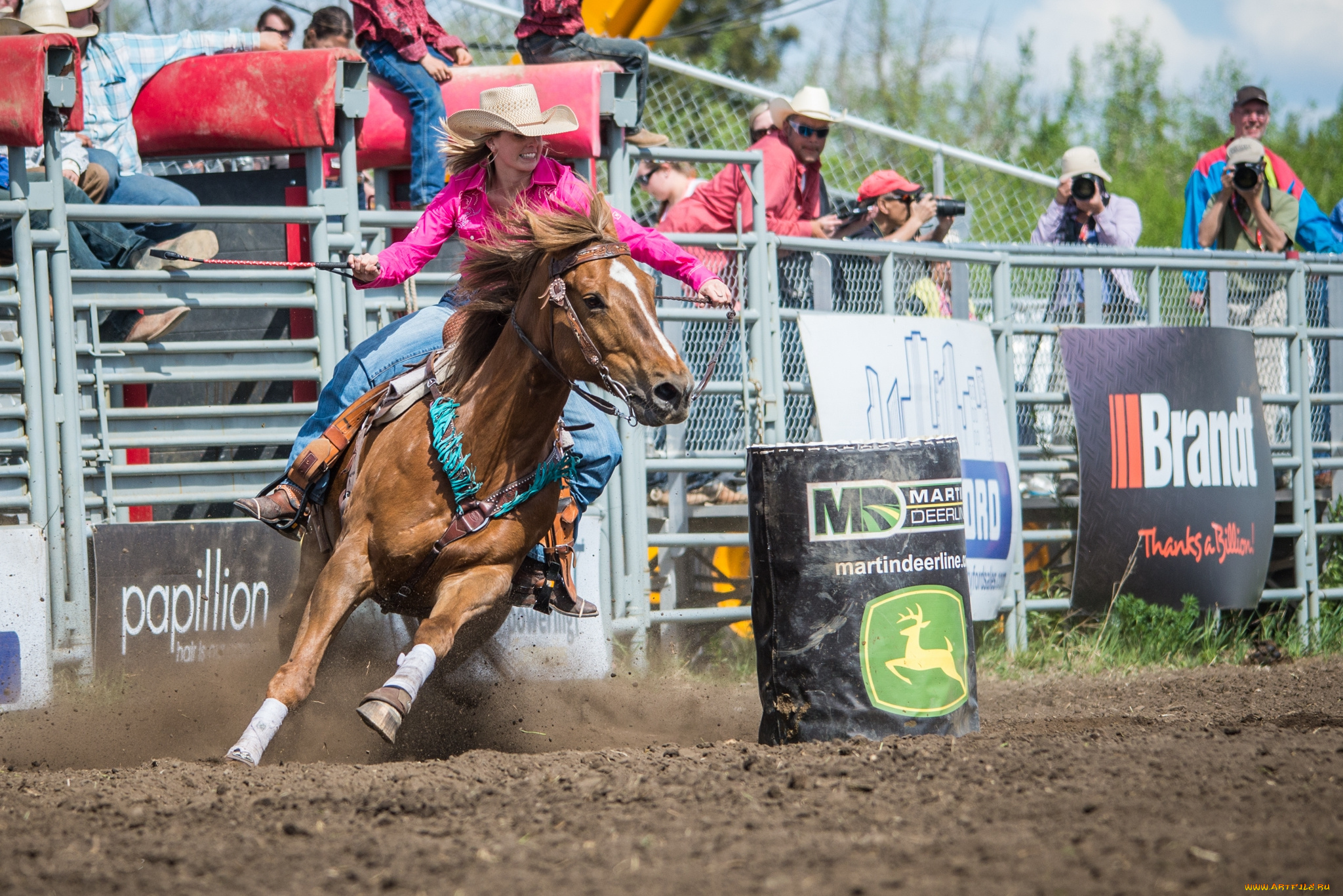 спорт, -, другое, родео, всадница, конь