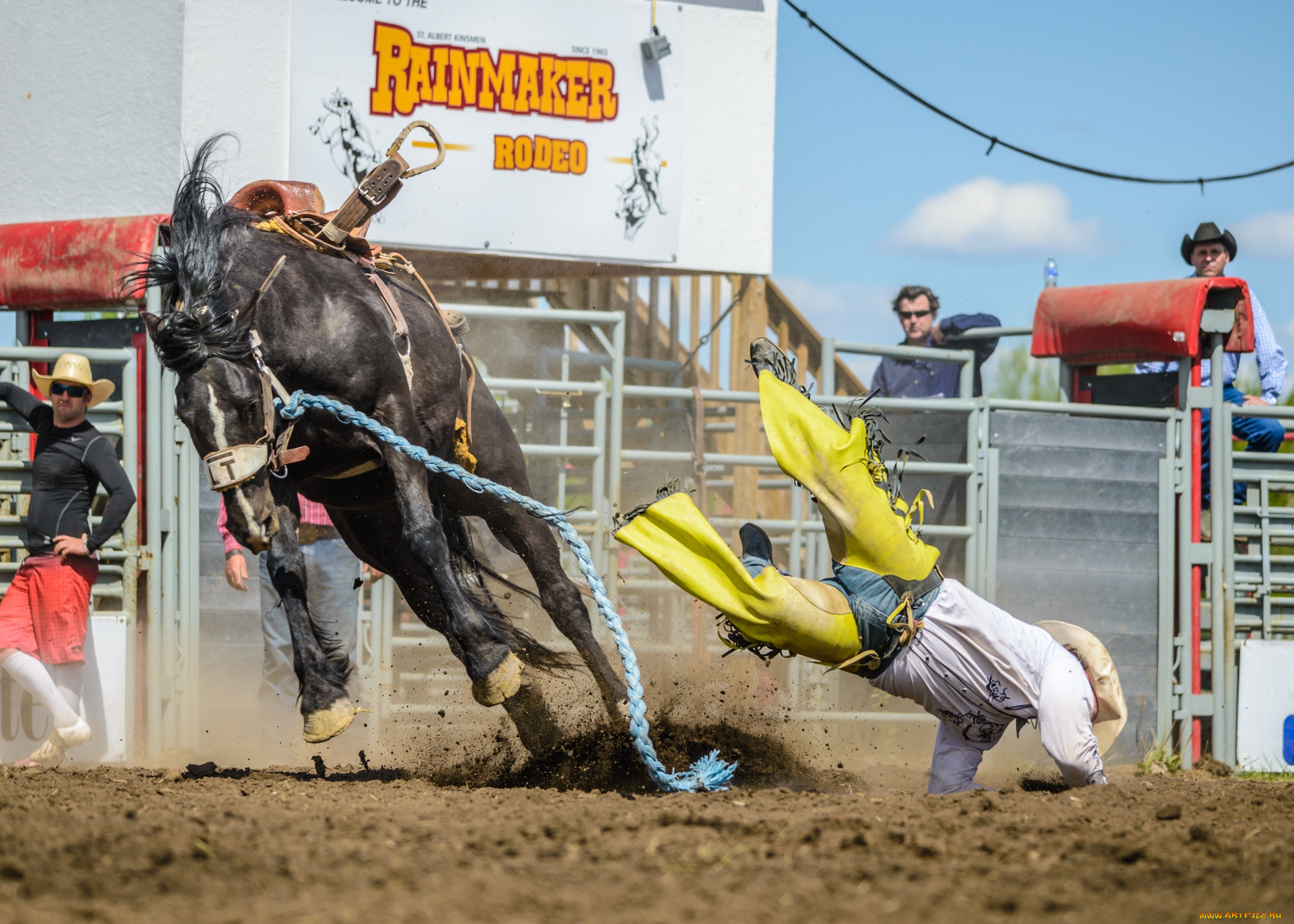 спорт, конный, спорт, конь, падение, родео, всадник