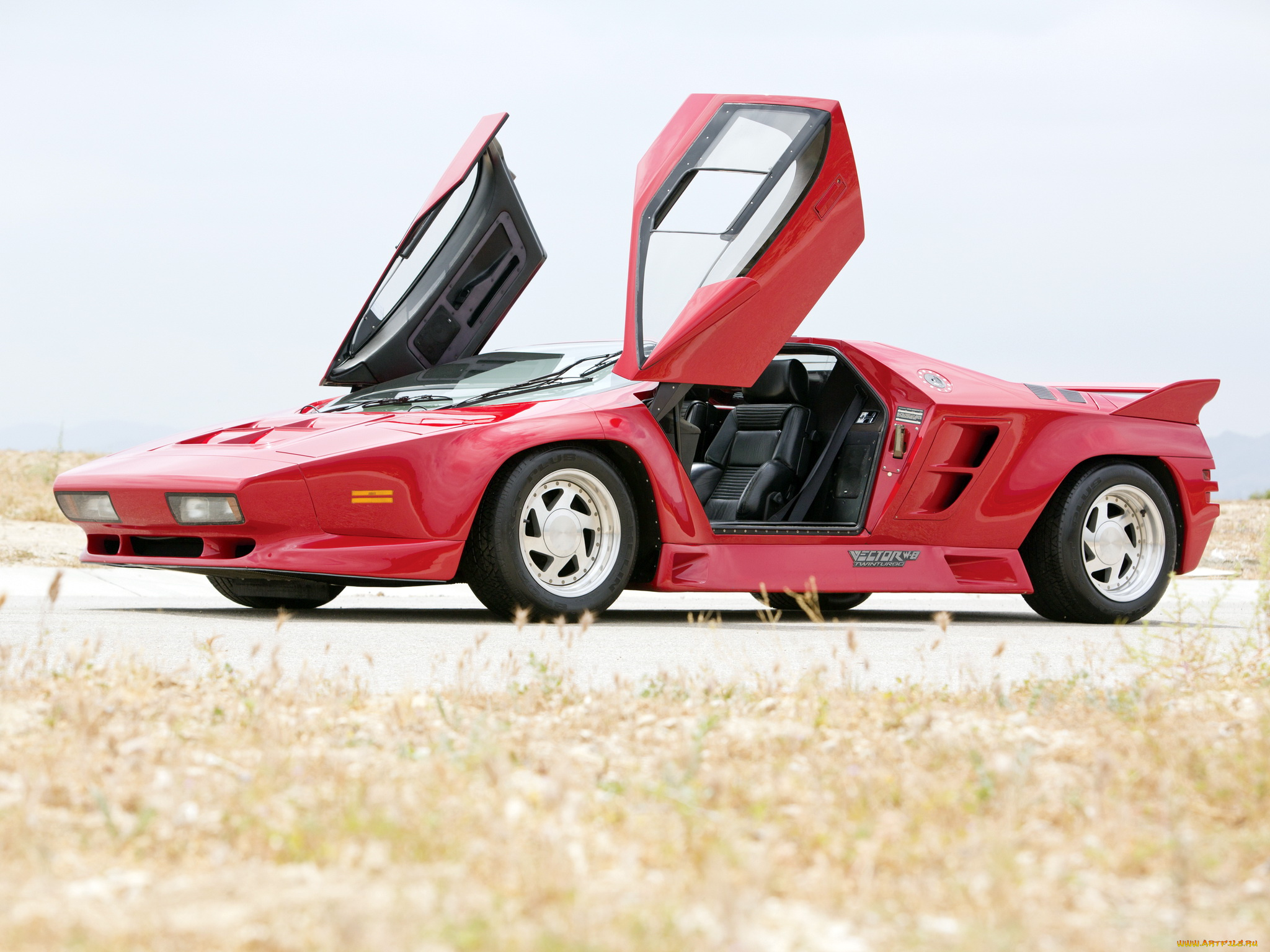 автомобили, vector