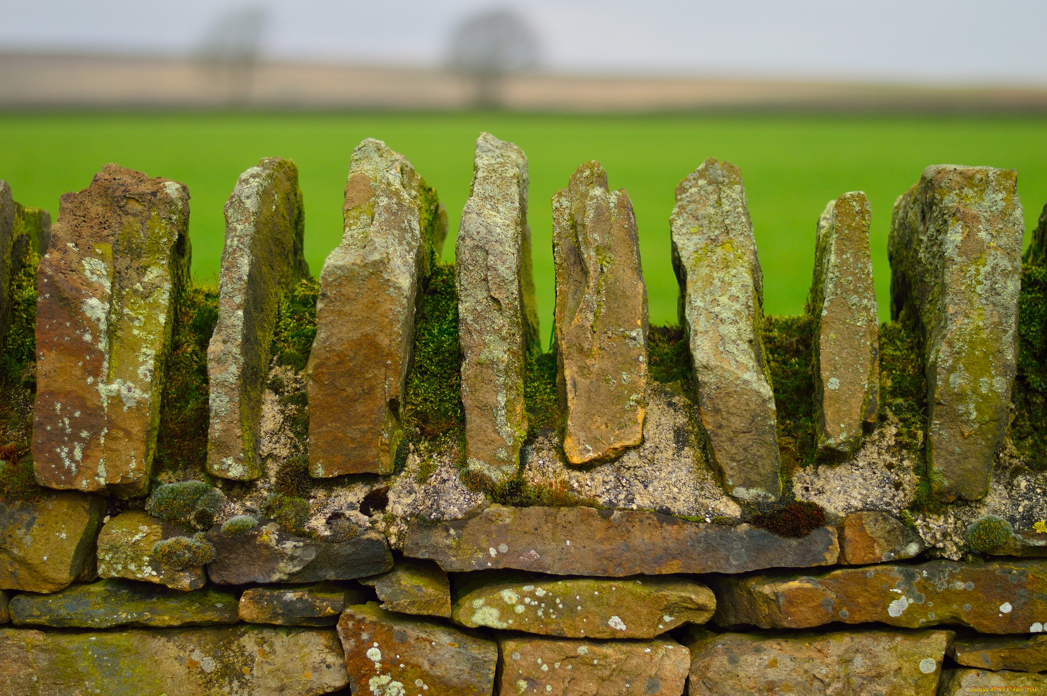 разное, развалины, , руины, , металлолом, кирпичи, кладка, камни