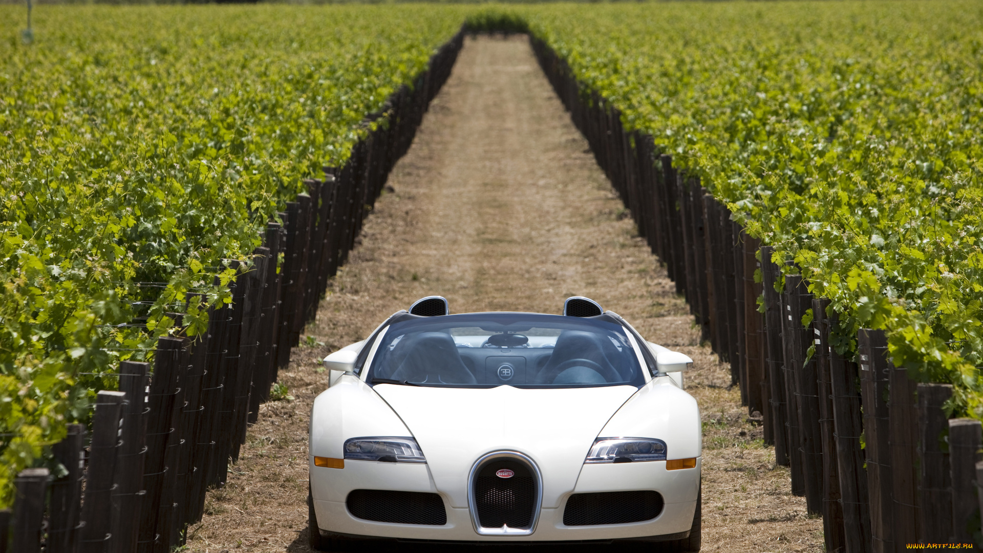 автомобили, bugatti