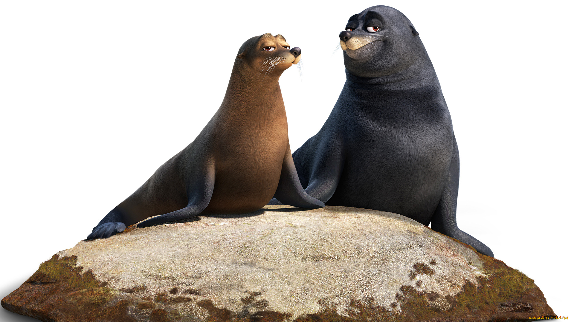 мультфильмы, finding, dory, моржи