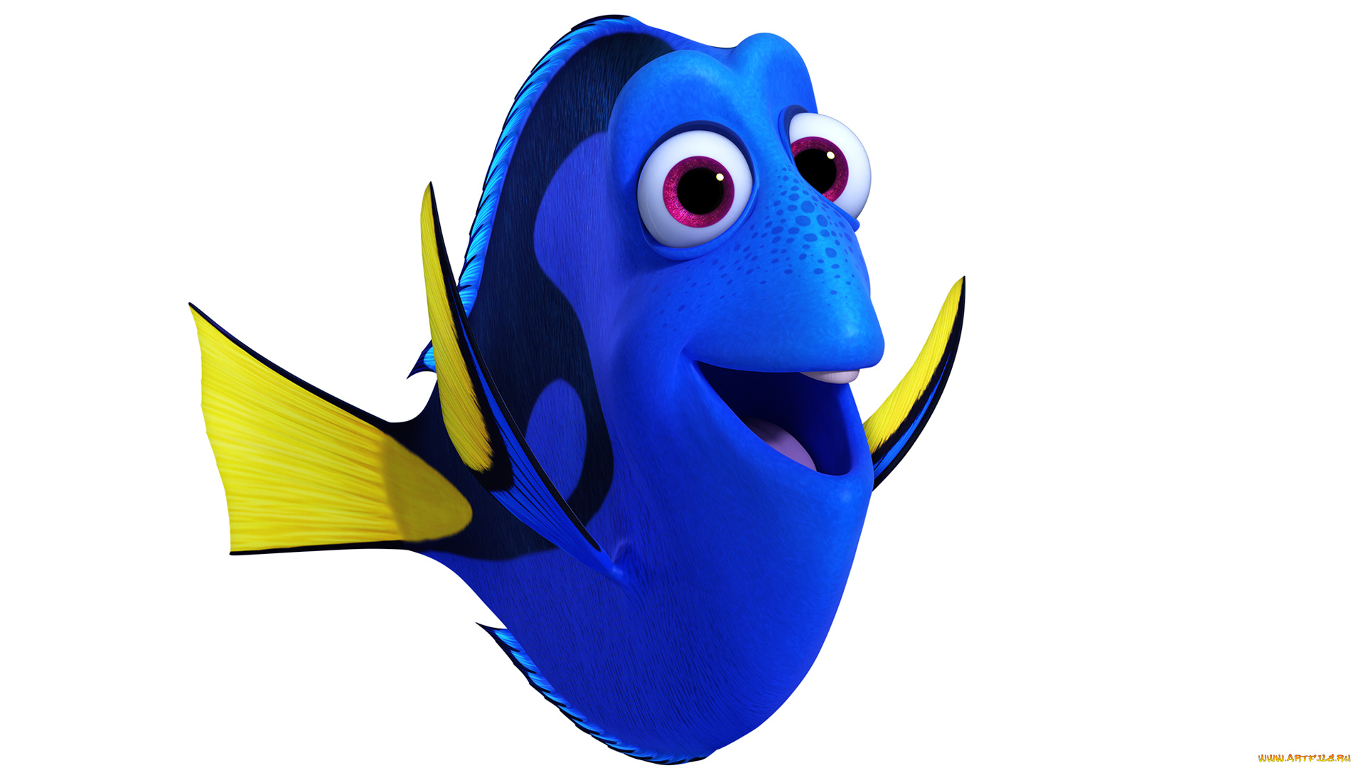 мультфильмы, finding, dory, рыбка