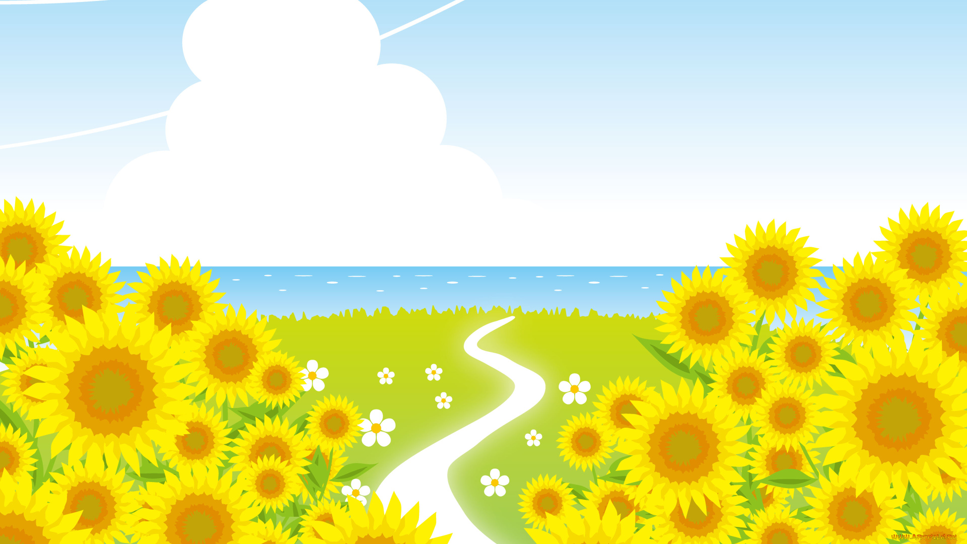 векторная, графика, цветы, , flowers, поле, дорога, подсолнухи