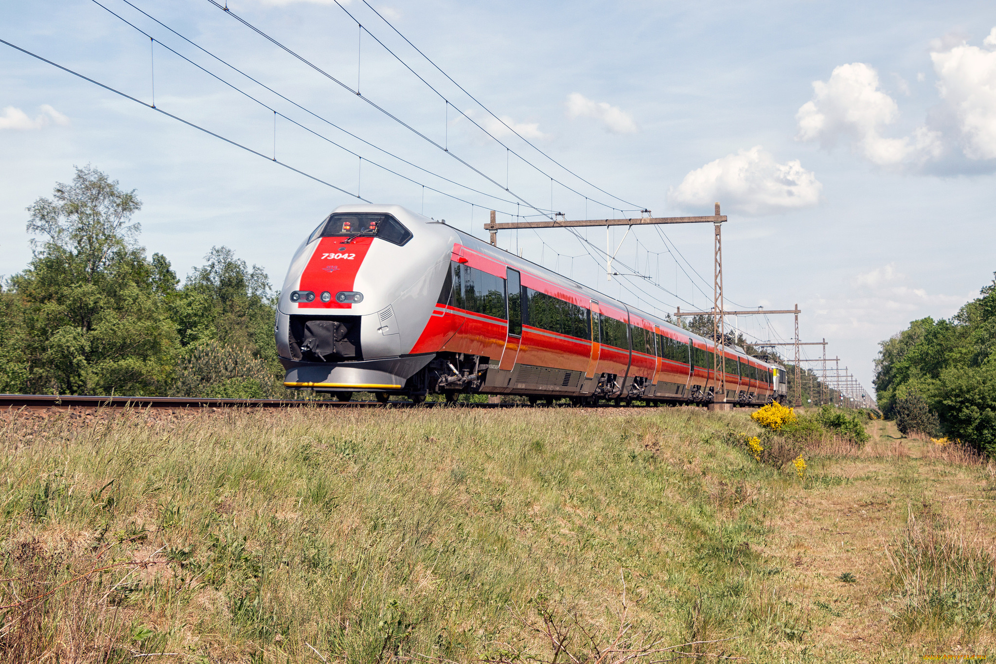 техника, поезда, рельсы, локомотив, состав