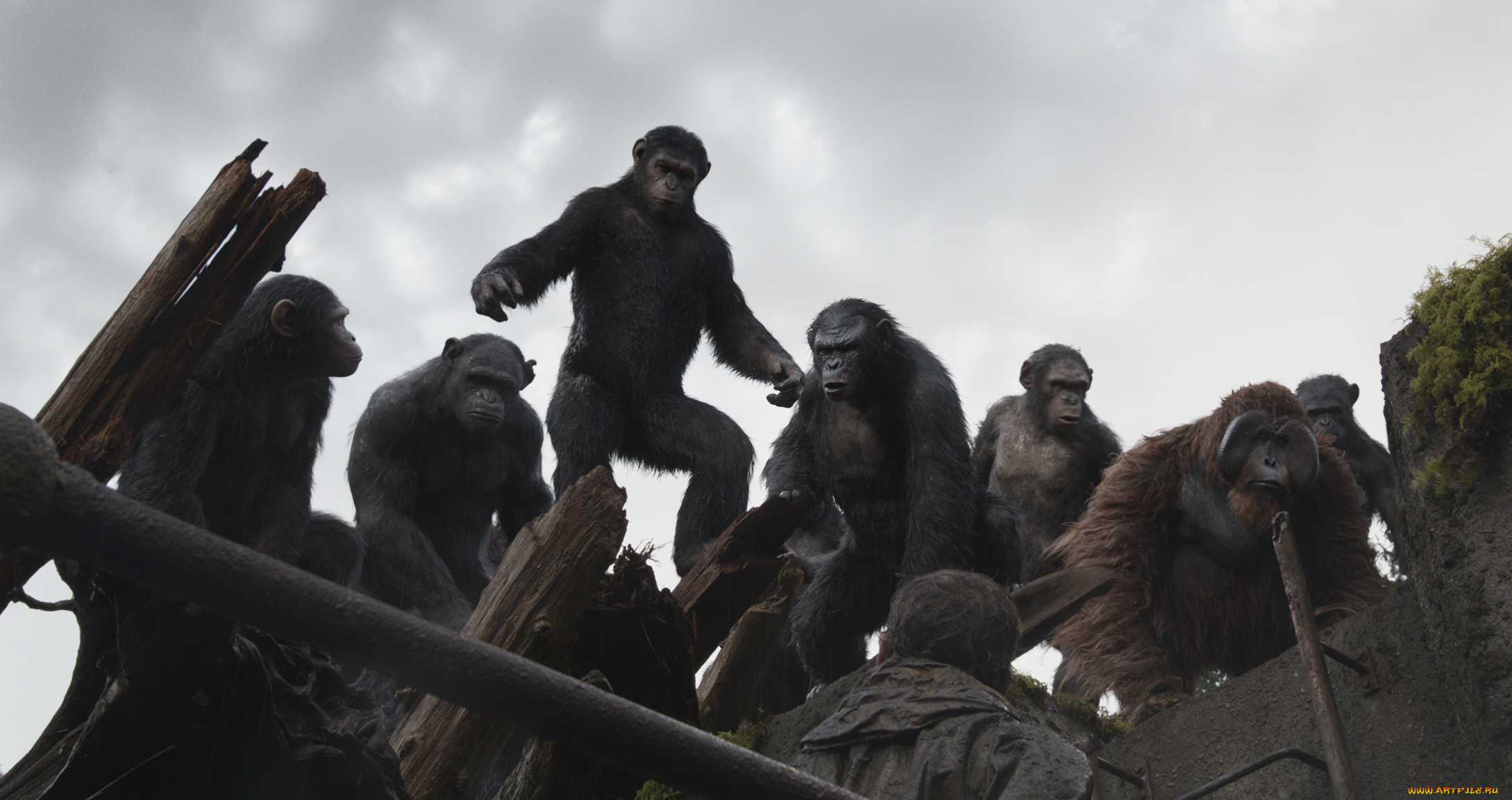rise, of, the, planet, of, the, apes, кино, фильмы, персонажи