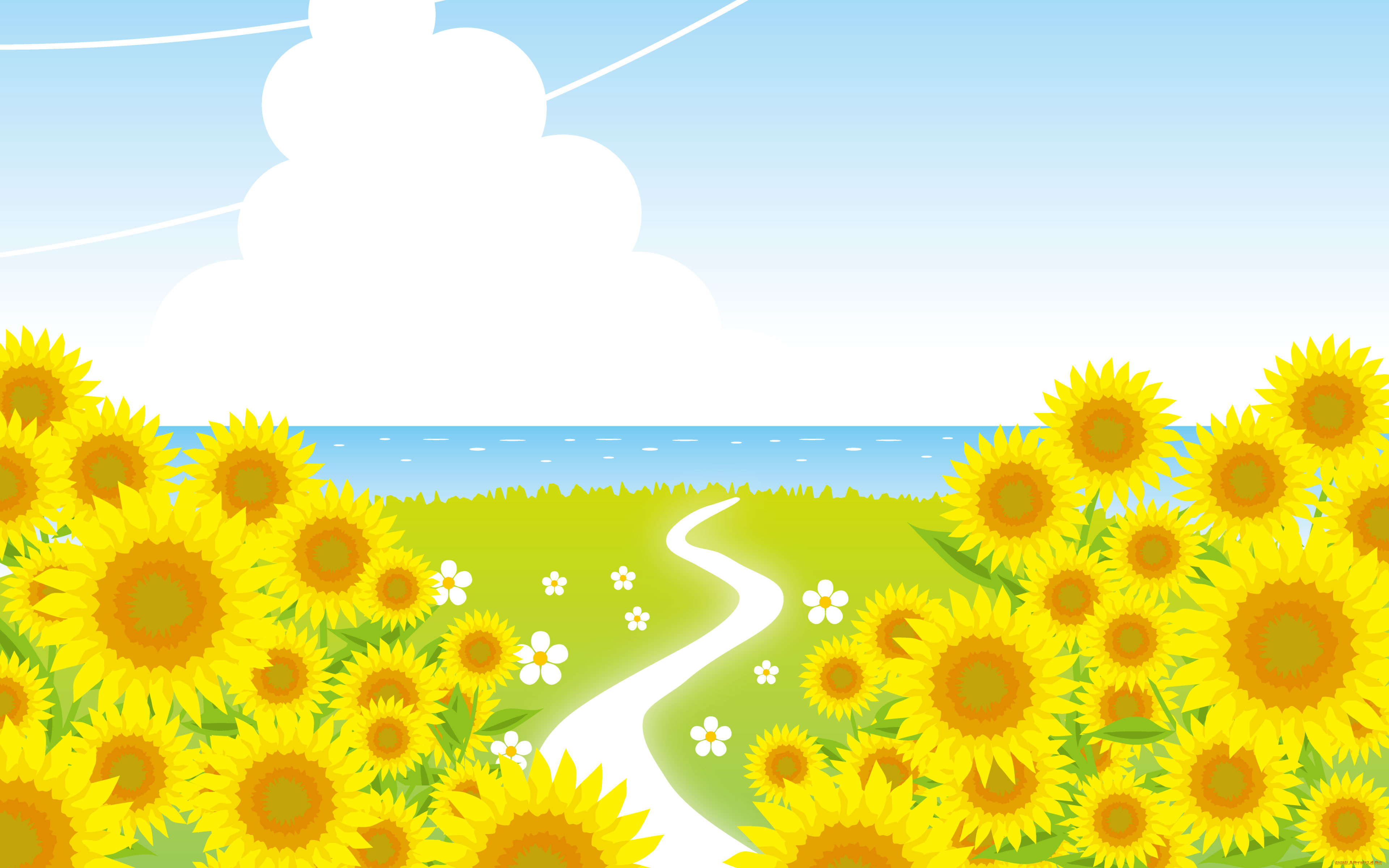 векторная, графика, цветы, , flowers, поле, дорога, подсолнухи