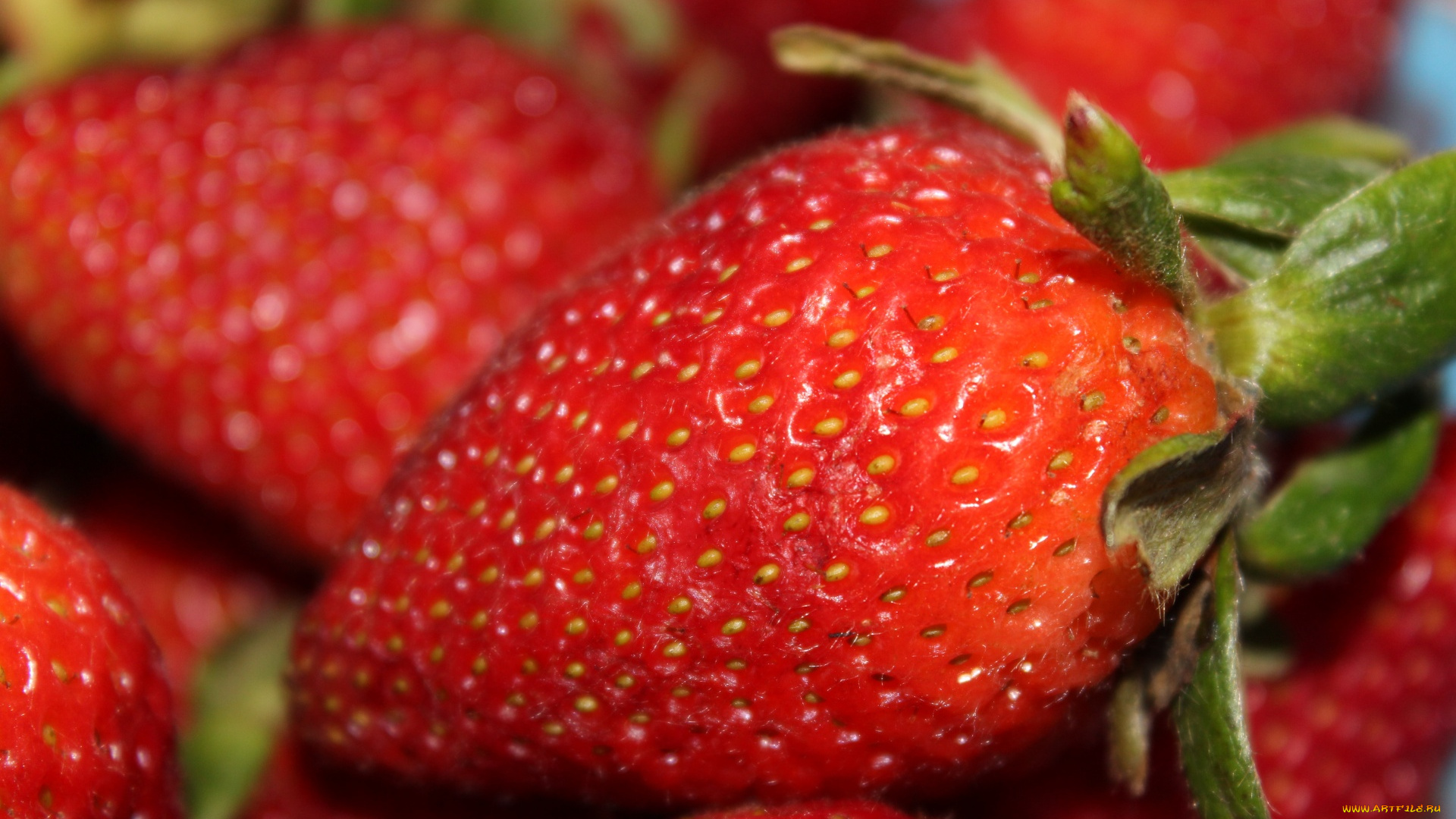 еда, клубника, , земляника