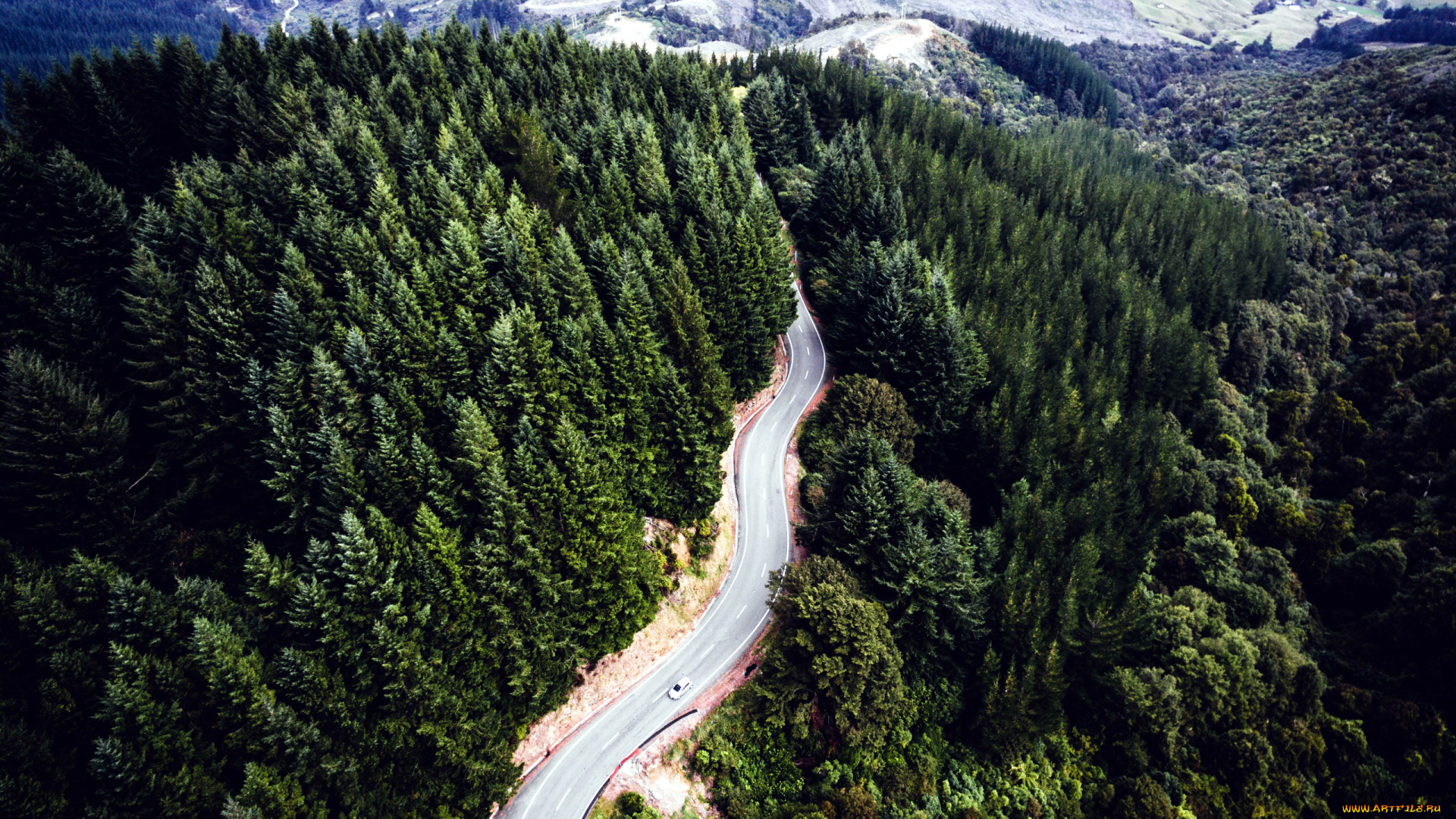 природа, дороги, панорама, дорога, серпантин, лес