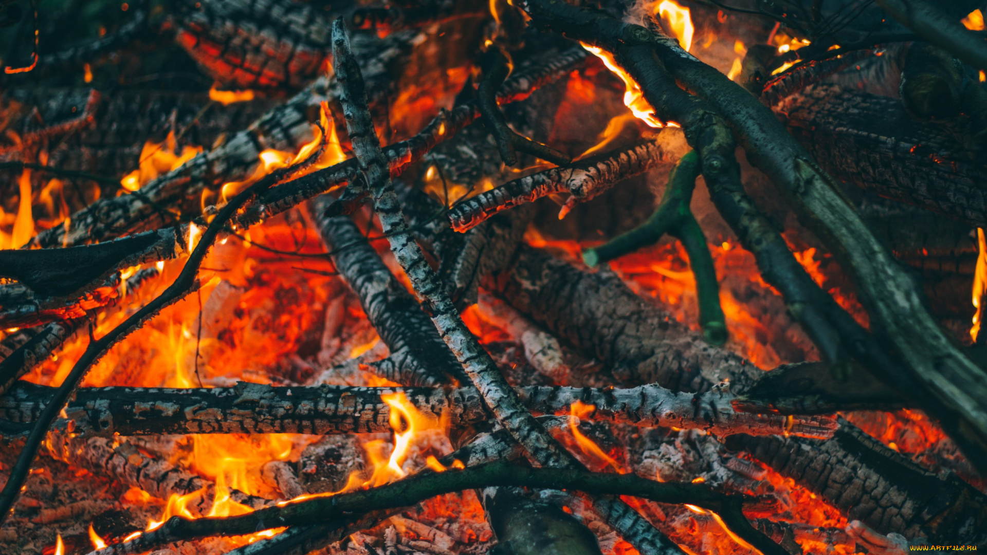 природа, огонь, пламя, поленья